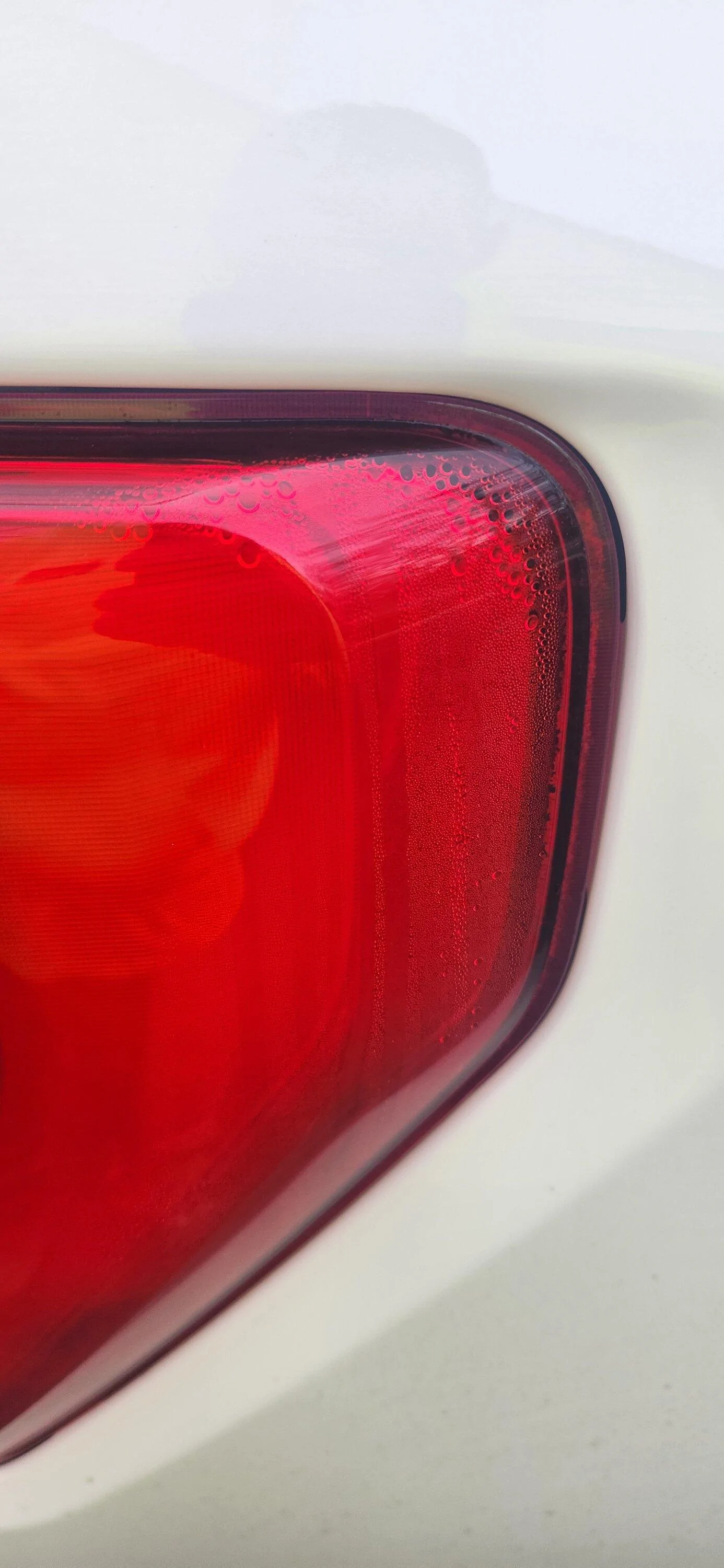 Ford F-150 Condensation in Rear Tail lights 20221214_155002