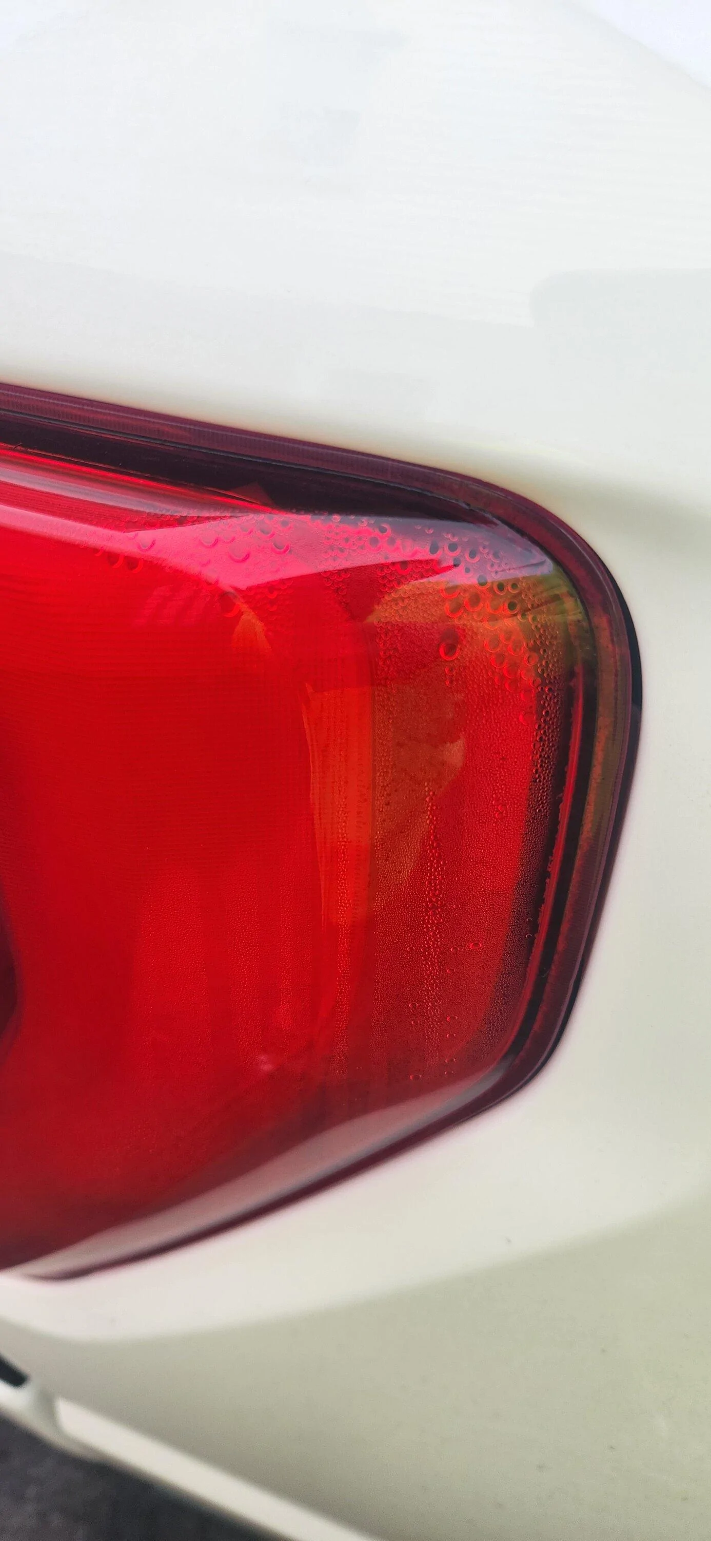 Ford F-150 Condensation in Rear Tail lights 20221214_155007