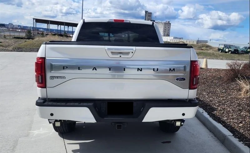 Ford F-150 Metal Tailgate Lettering 2023-07-06 10_05_22-Windo