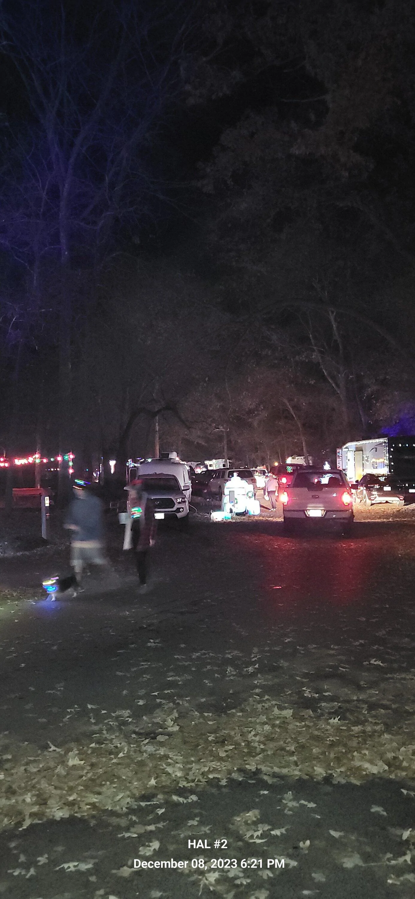 Ford F-150 Christmas in the park 2023 tyler park (15)