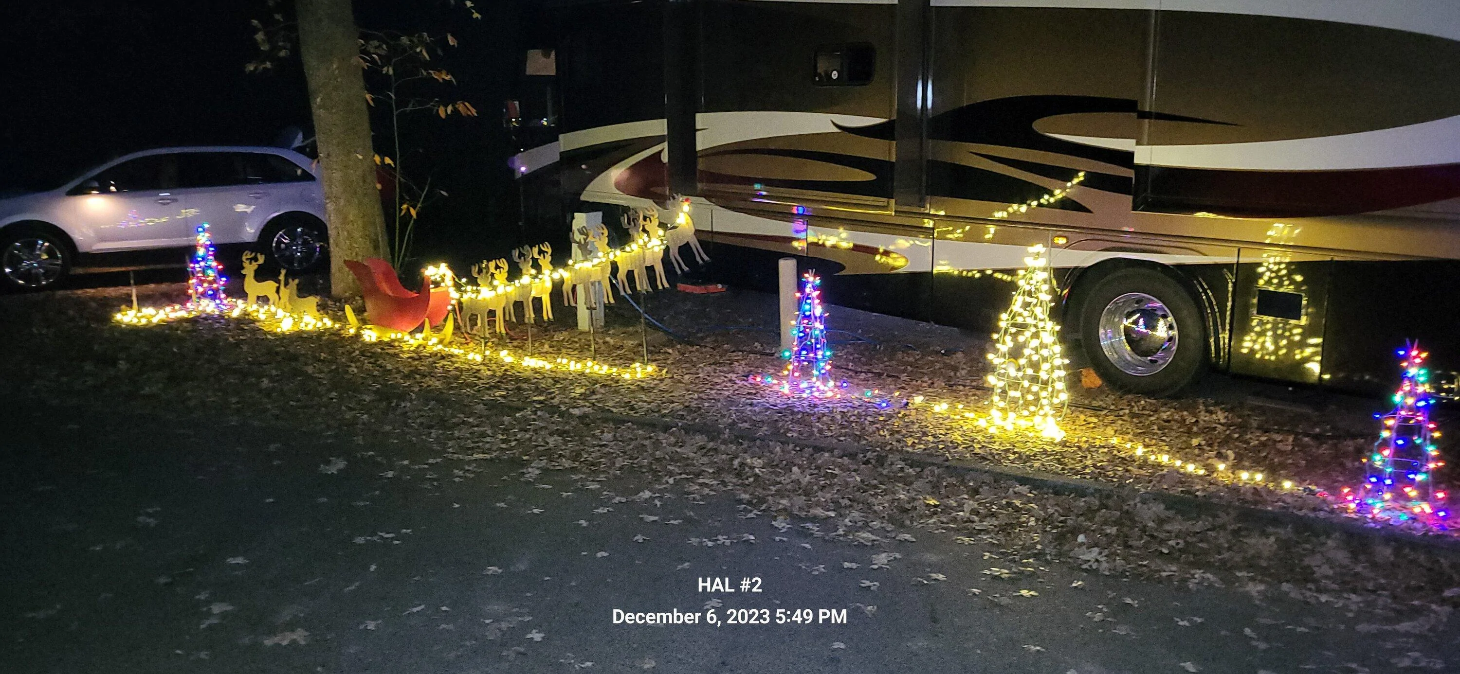 Ford F-150 Christmas in the park 2023 tyler park (3)