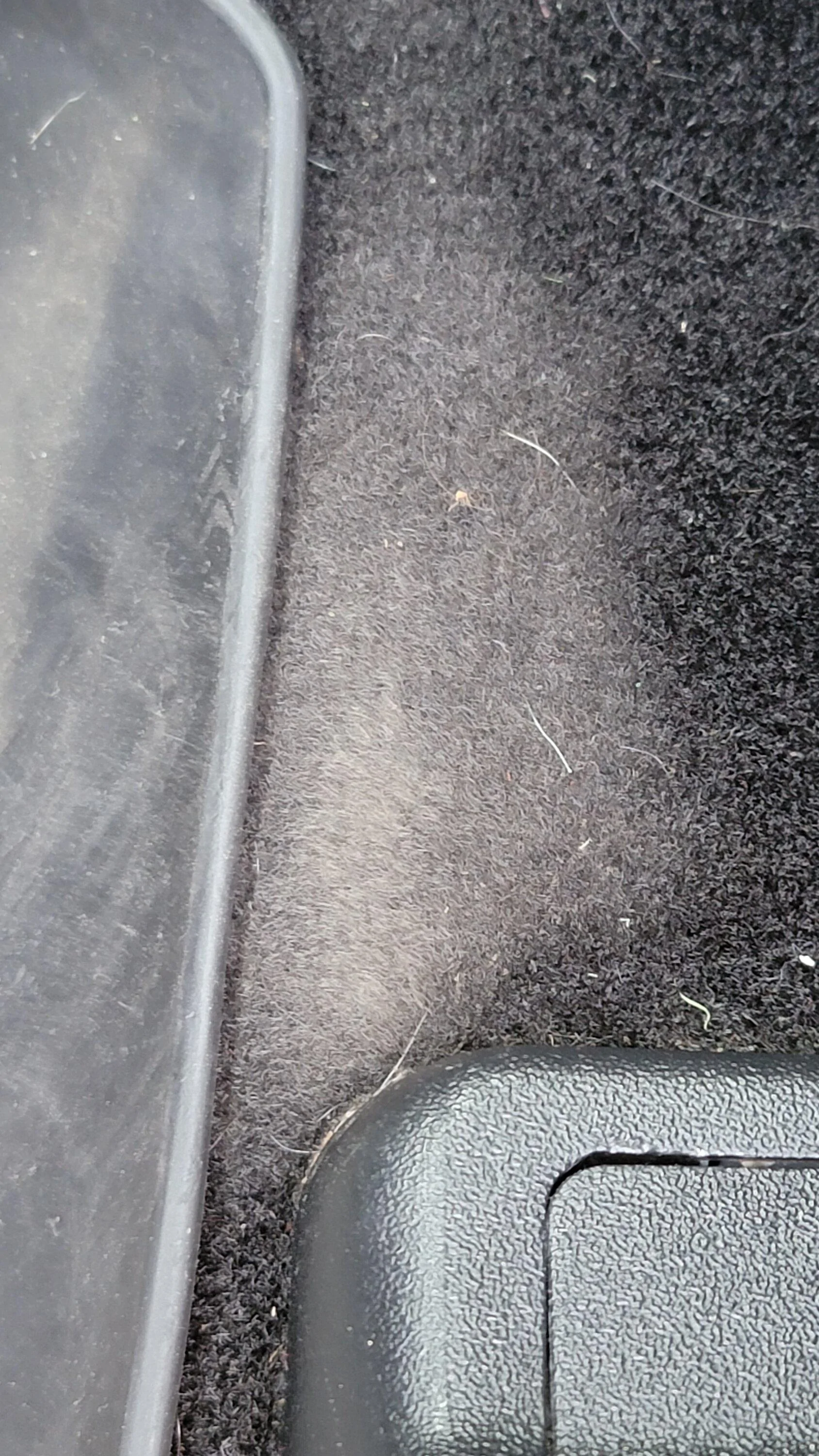 20230518_104301.jpg