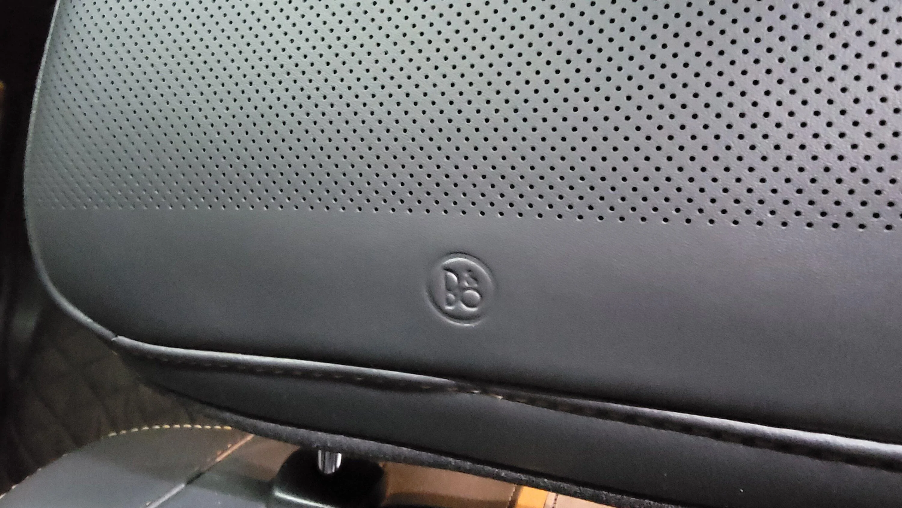 Ford F-150 18 Speakers/Head Rest?? 20230608_211821