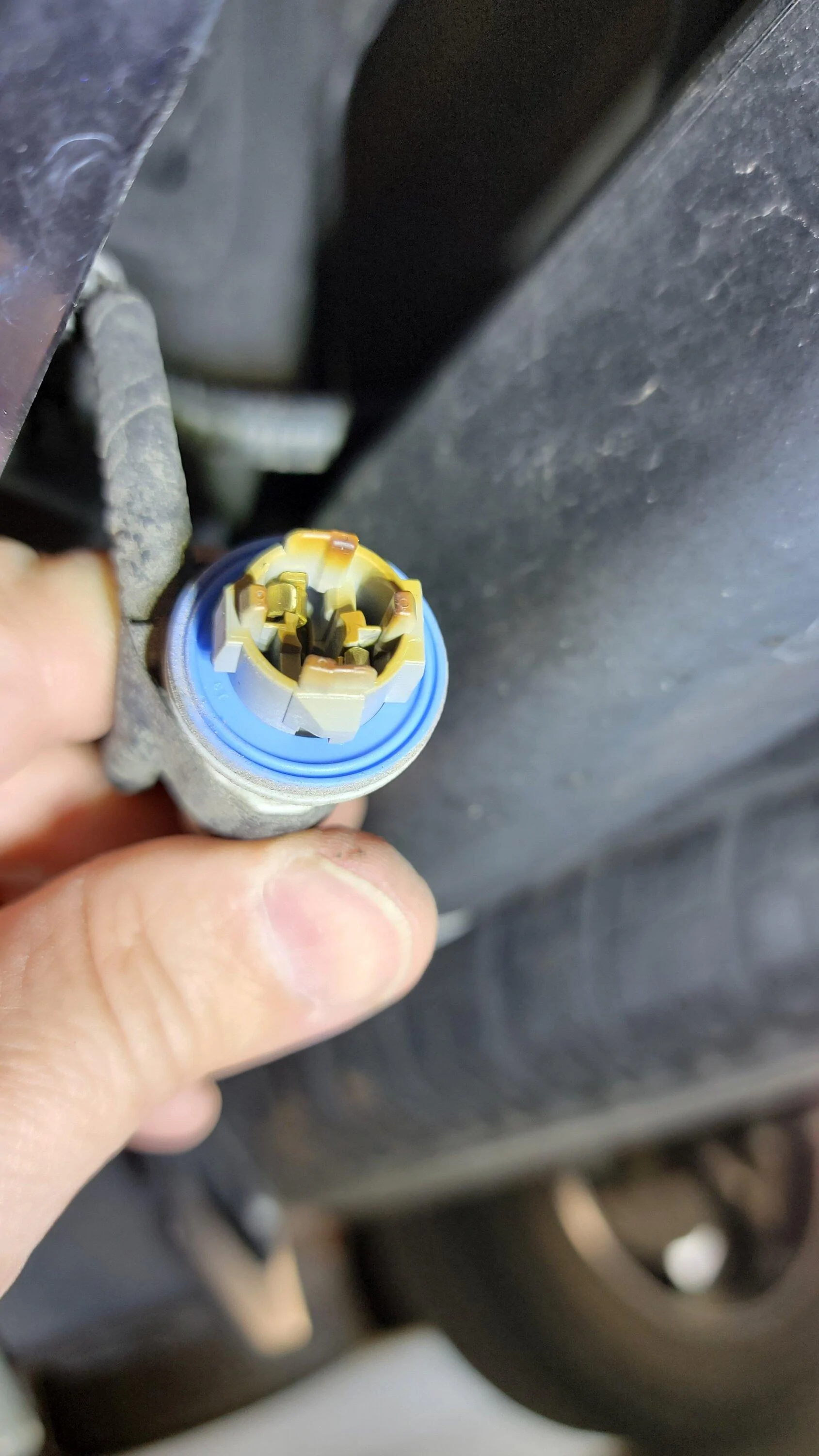 Ford F-150 License plate LED replacements... 20230703_115622