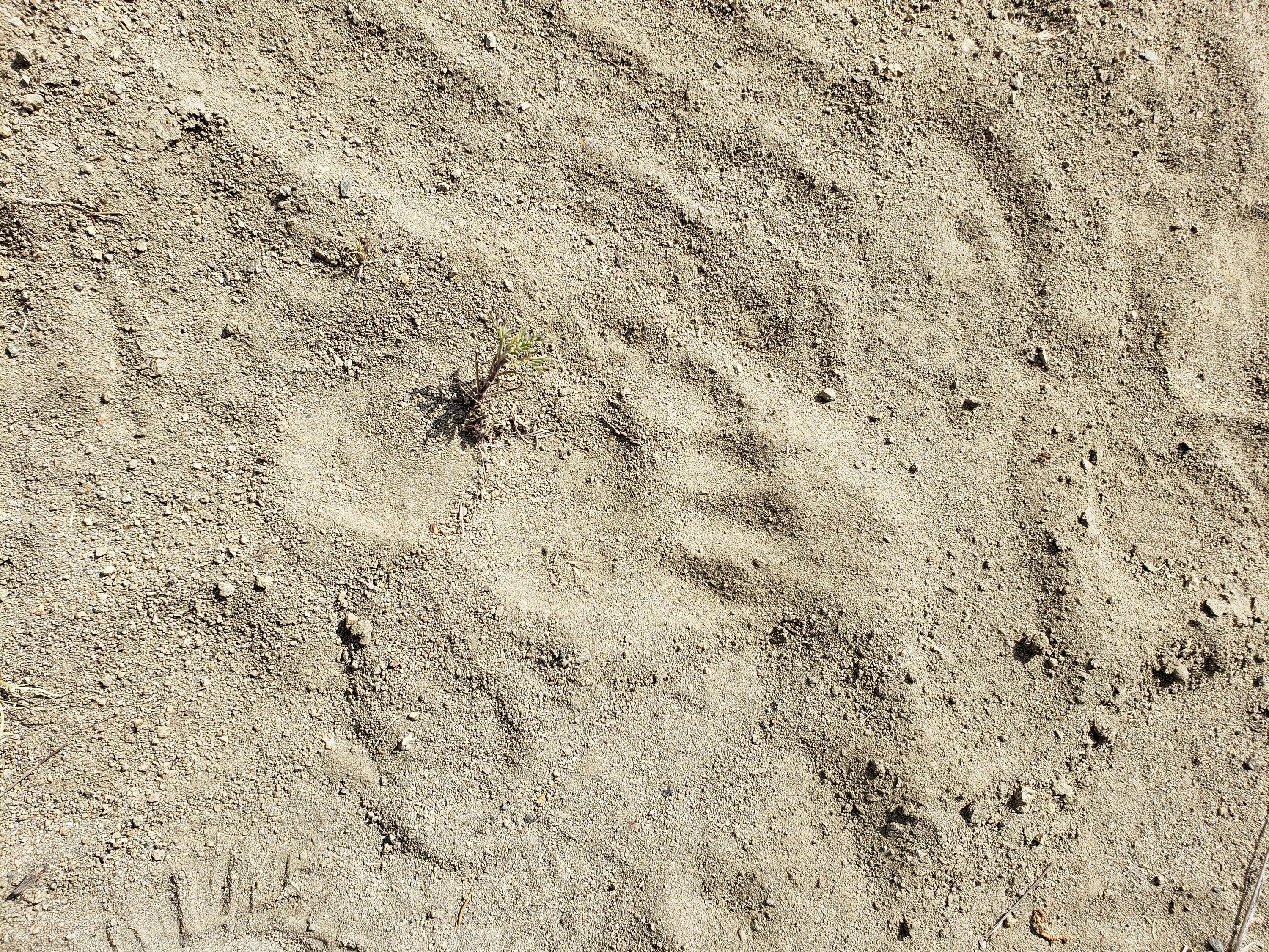 Ford F-150 Rear wheel "air deflector" delete. 20230709_094626