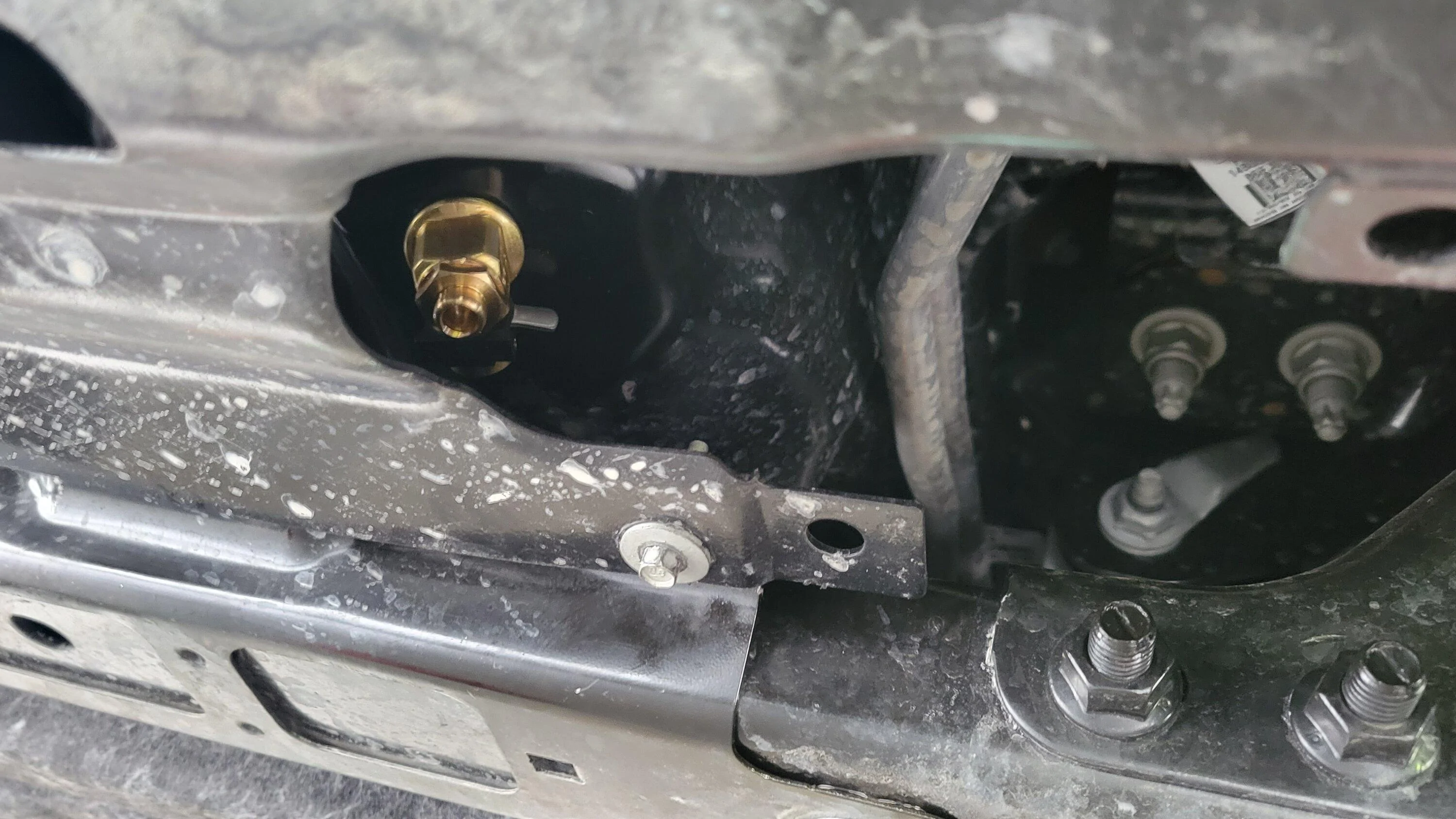 Ford F-150 Factory catalytic converter protection 20230827_131056