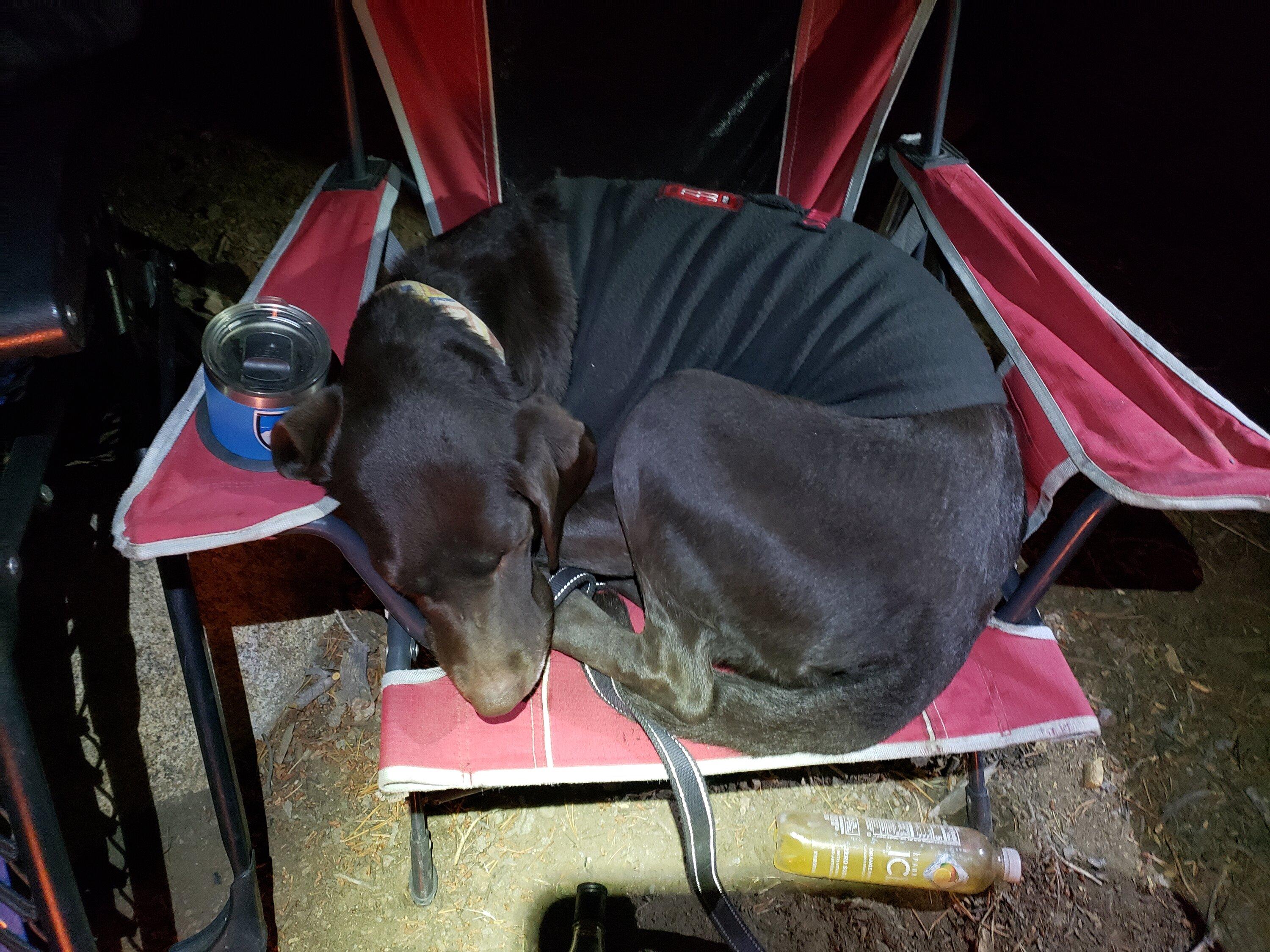 Ford F-150 Trip: 10 rigs, 5 days to Eastern Sierras, Bristlecone Pines, Coyote Flats, Virginia Lakes, Kavanaugh Ridge, Bodie Ghost town. 20231007_220923