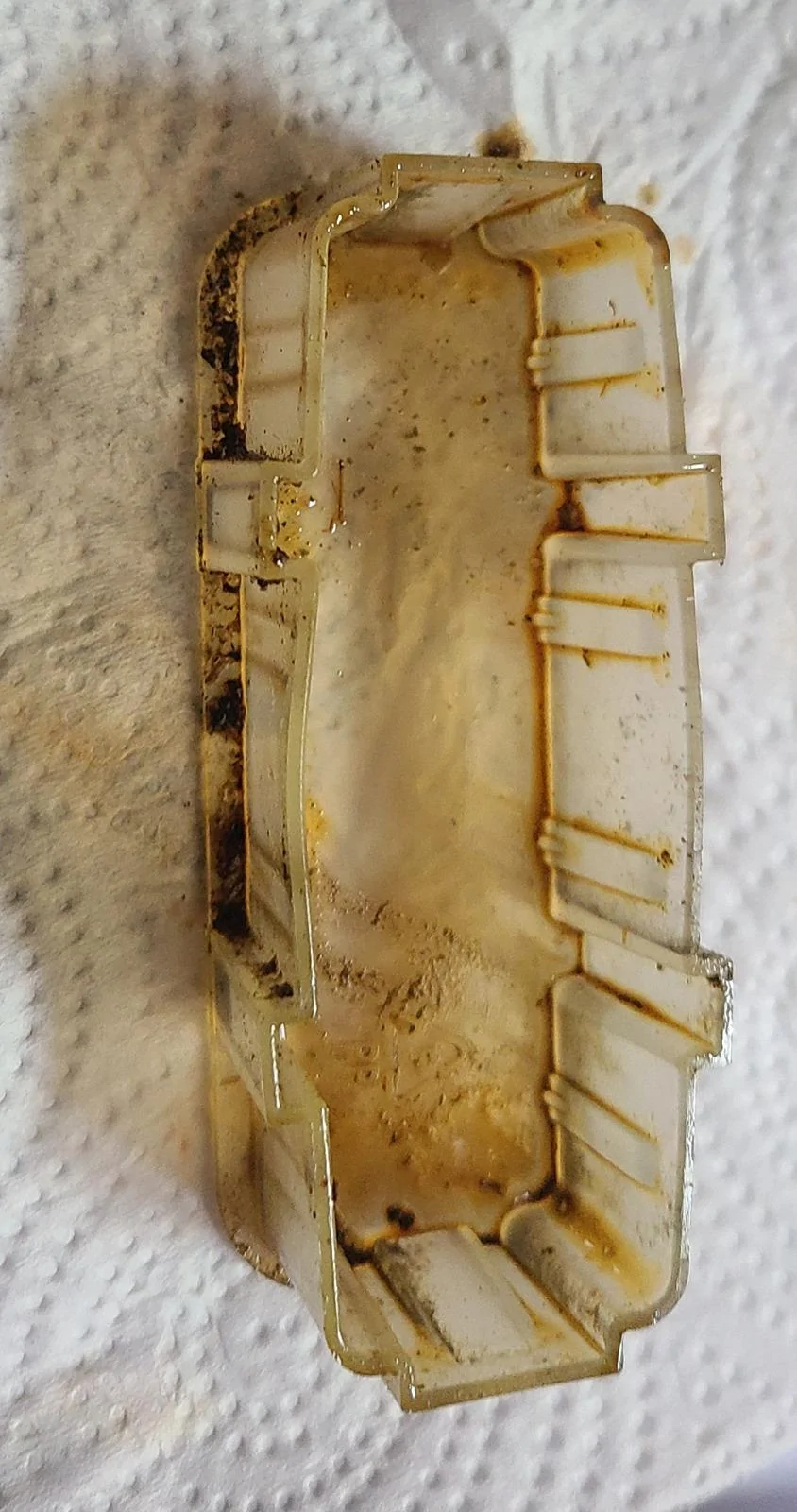 Ford F-150 What's this? 20240602_093702