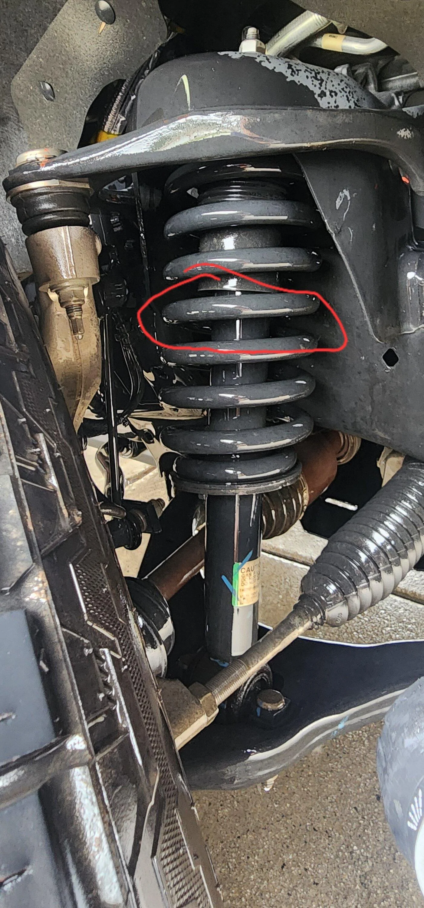 Ford F-150 Front Struts (Leaking) 20240825_115104