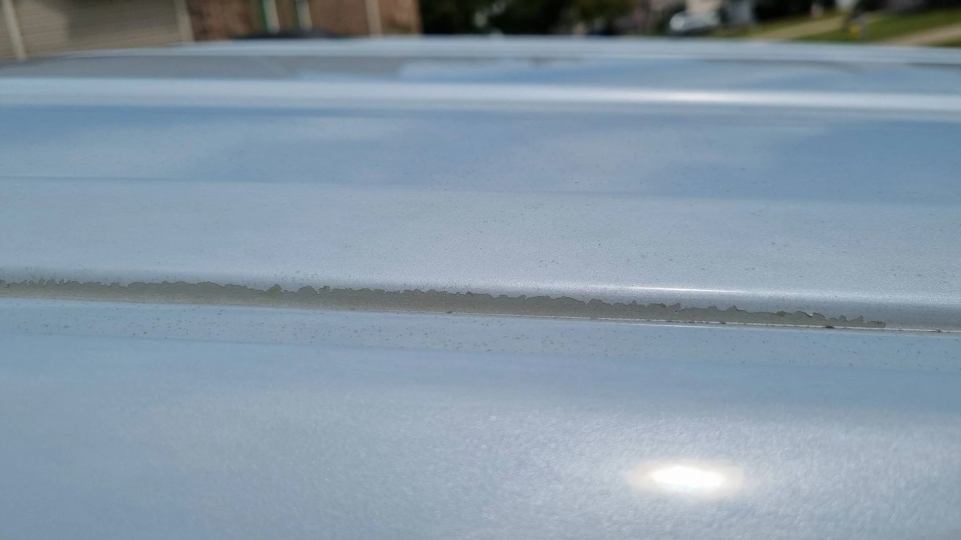 Ford F-150 Peeling Paint 20240908_142727