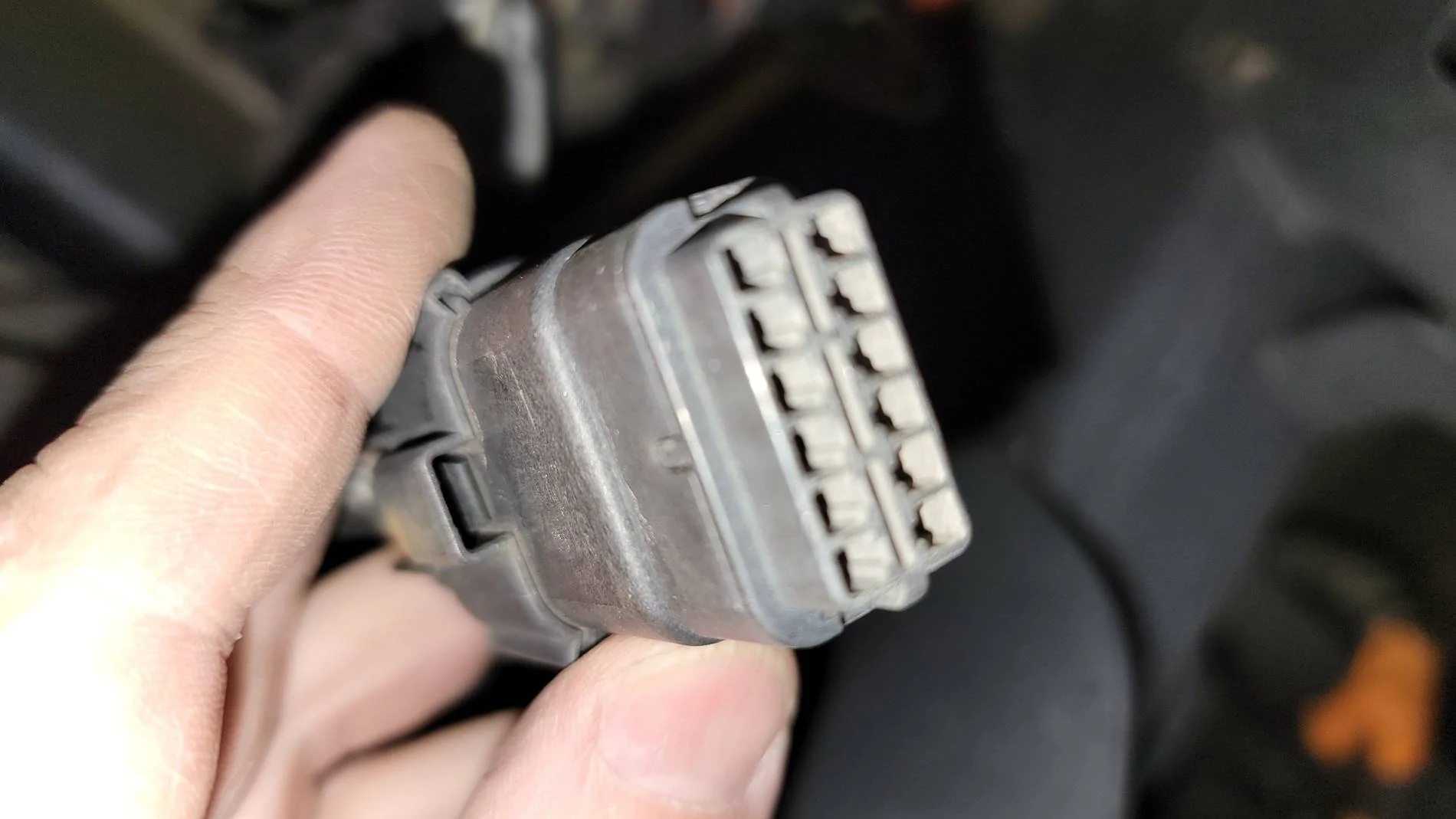 Ford F-150 Anyone know what this is?  (Exterior plug) 20241029_140914
