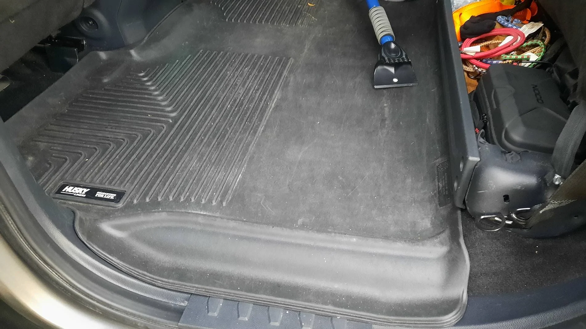 Ford F-150 FORD TRAY STYLE FLOOR MATS 20241112_163908