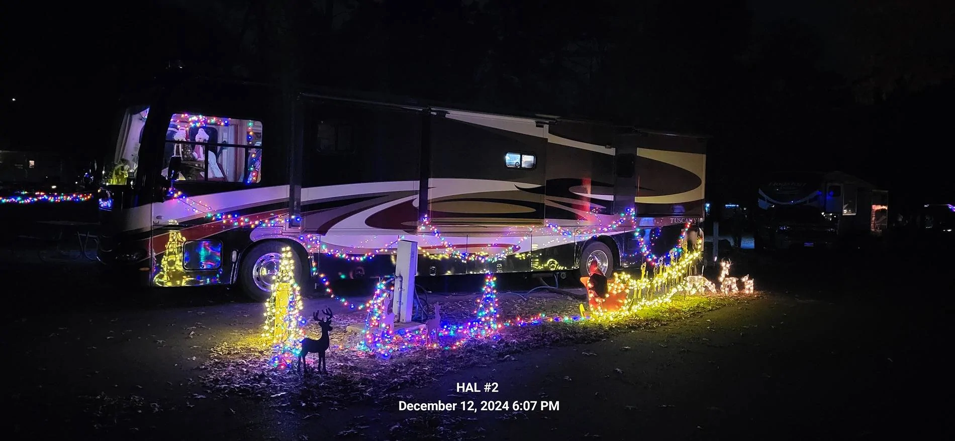 Ford F-150 Tyler texas state park christmas lights 20241212_180727