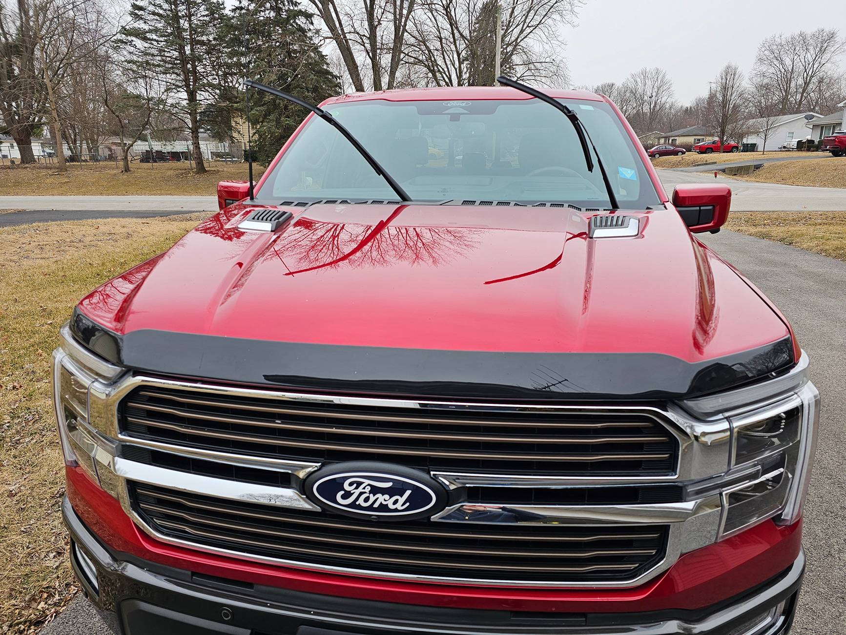 Ford F-150 Hood "Bug" deflector 20250212_101030