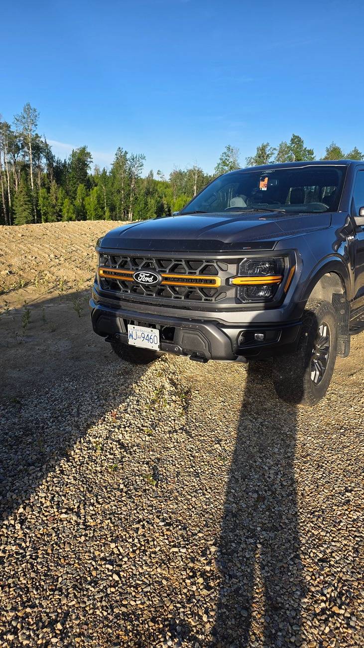 Ford F-150 F150 bug deflector 20250709_071950