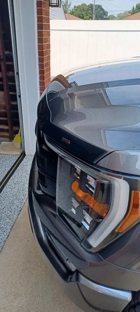 Ford F-150 F150 bug deflector 20250805_114935