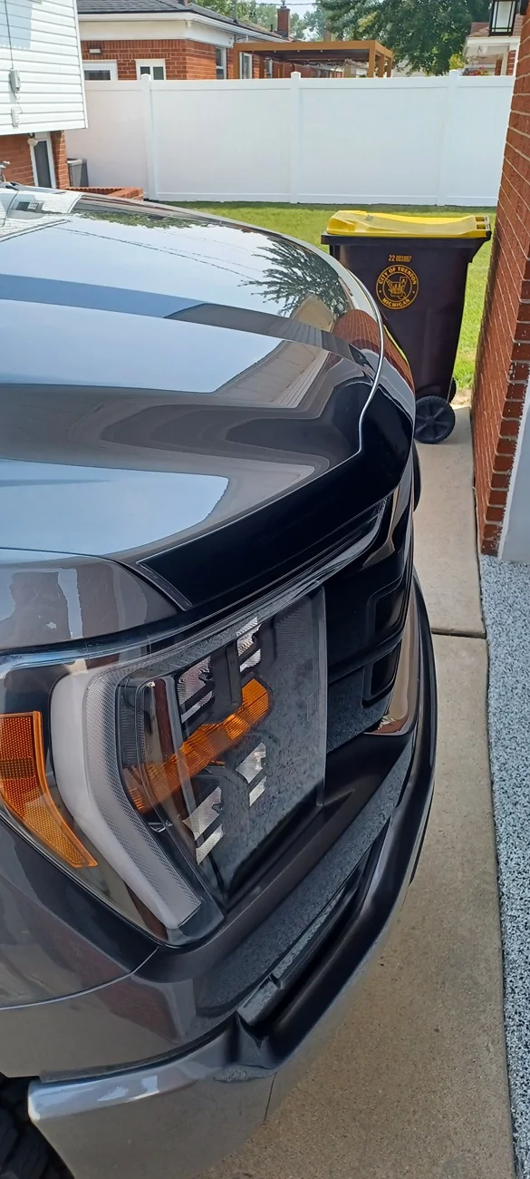 Ford F-150 F150 bug deflector 20250805_114959