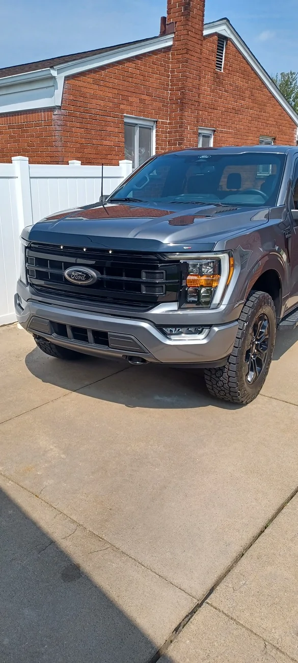 Ford F-150 F150 bug deflector 20250805_120005