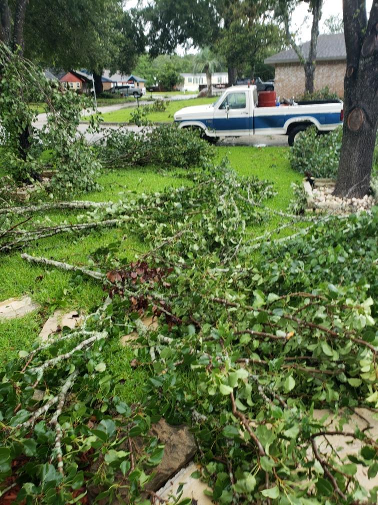 Ford F-150 Tropical Storm Beryl 22274