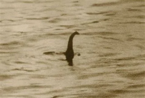 Ford F-150 WTF is this? Does anyone know? 26f55747-30a8-4e9a-a1e4-e5d72f89be61-jpeg