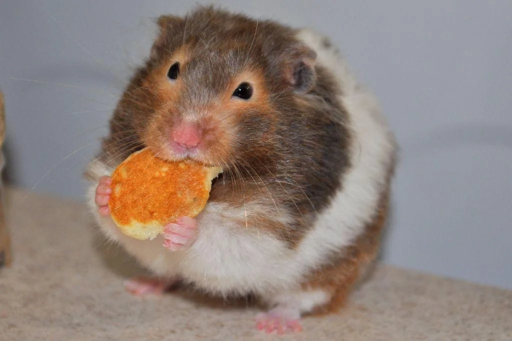 Ford F-150 Wireless charging pad add on?? %2F5f%2F94%2F8f%2F5f948f87a67ddb71d8764c22368b90b9