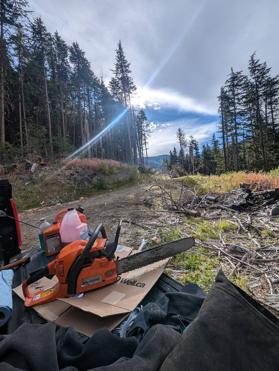 Ford F-150 Firewood gettin 3