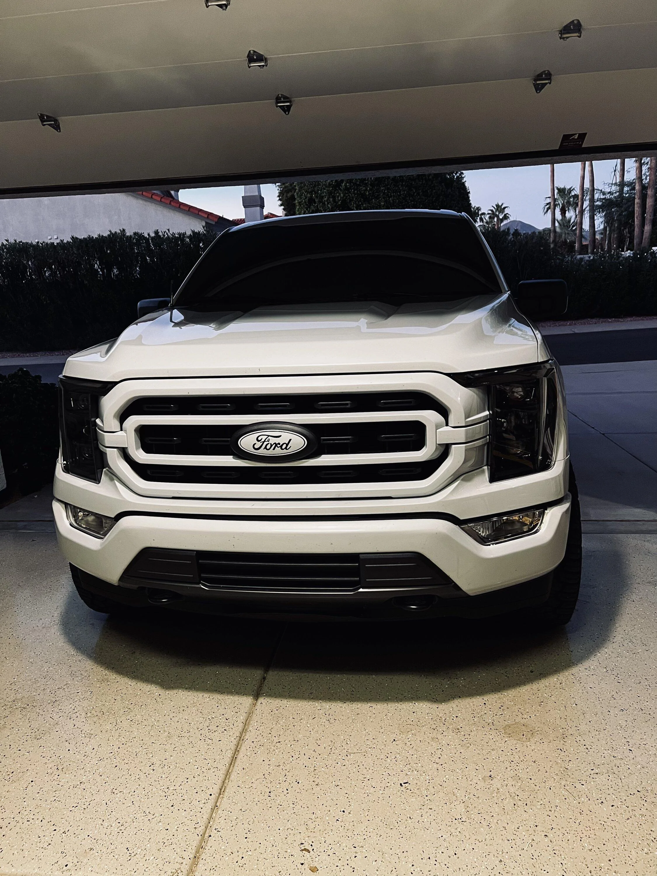 Ford F-150 AlphaRex LUXX Headlights 36455956-767E-4D8A-9C16-411DAEDECE41