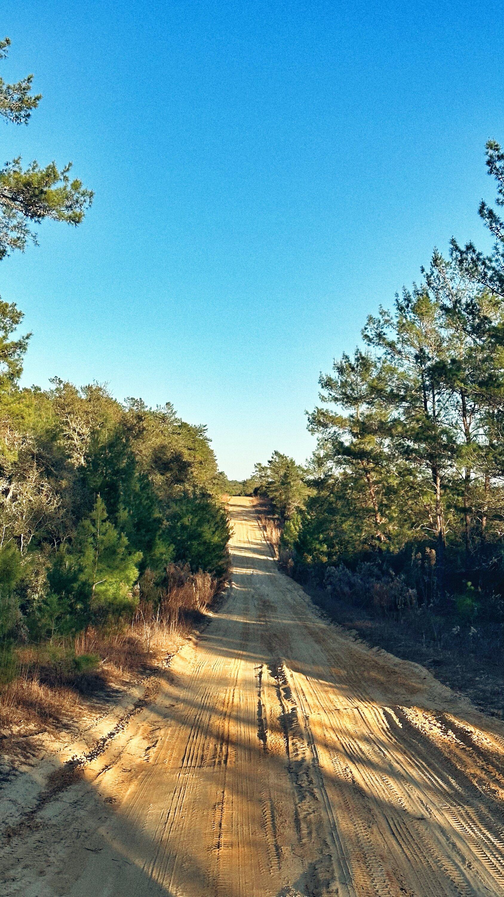 Ford F-150 Spent a few hours exploring Ocala National Forest 370F1016-0EC0-48D9-83EE-BA8D473BC294_1_201_a
