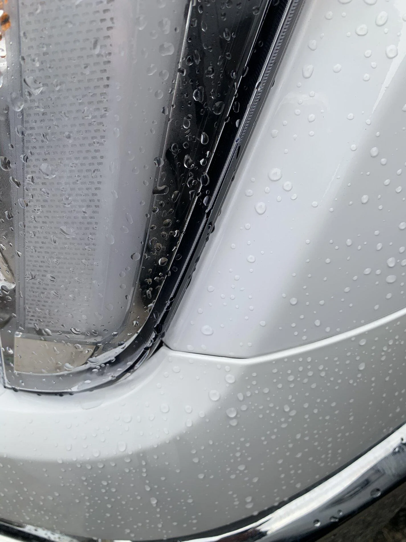 Ford F-150 Getting my truck today 3EFCA543-7D15-421F-871E-B31235435810