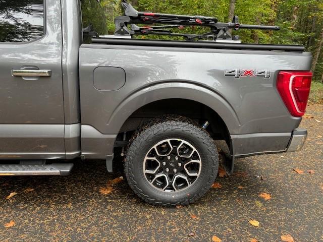Ford F-150 Anyone remove rear blocks? 4