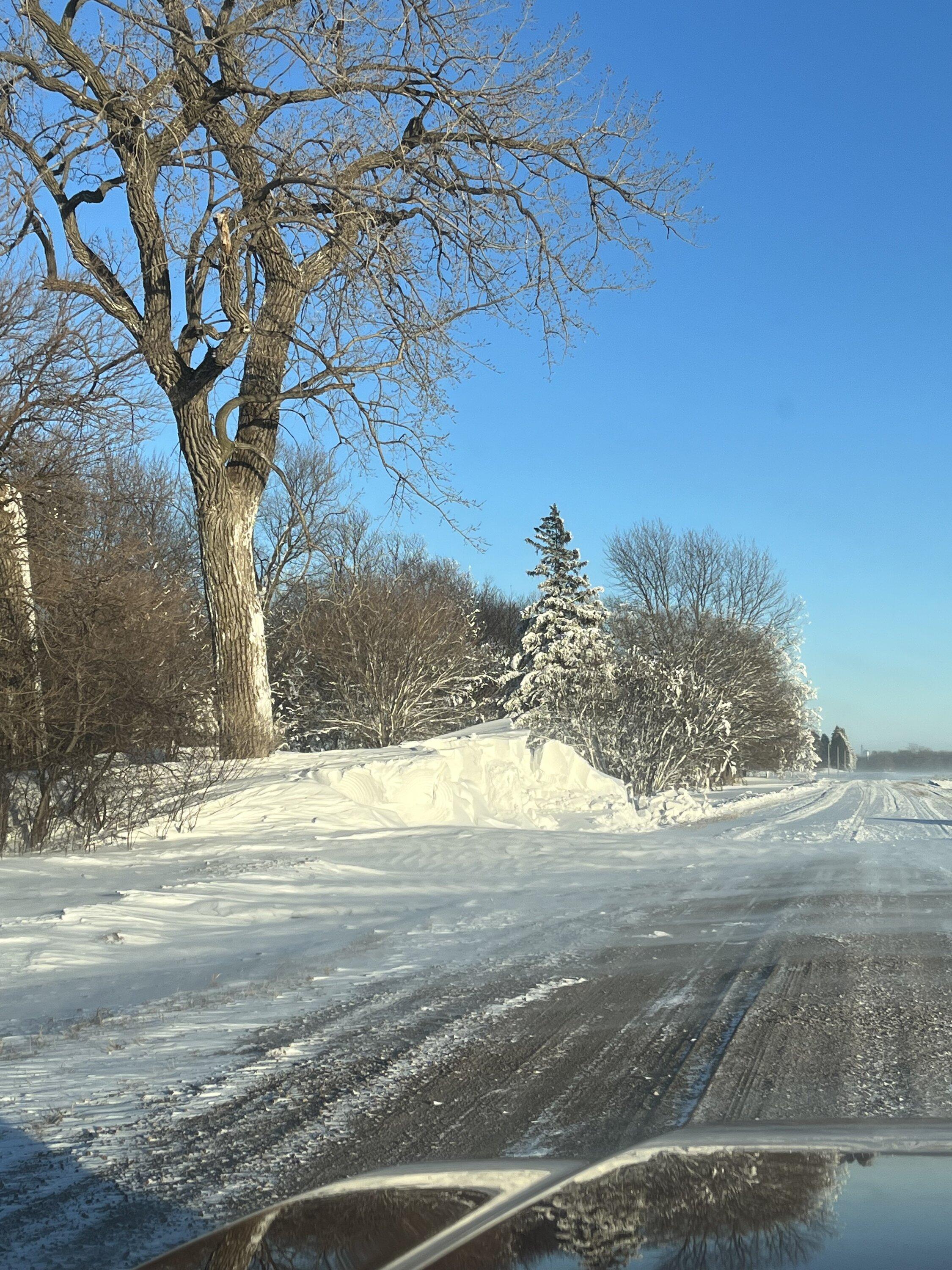 Ford F-150 MY23 Shipping Yet? 4C47A454-9DE3-4BA4-B039-D75CDCBD2D36