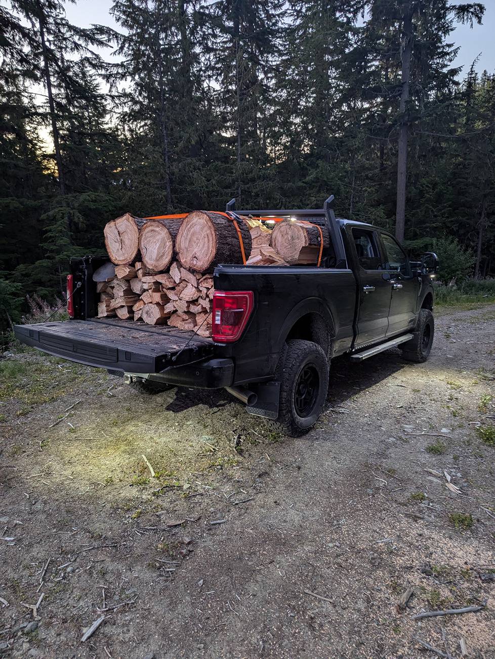 Ford F-150 Firewood gettin 5