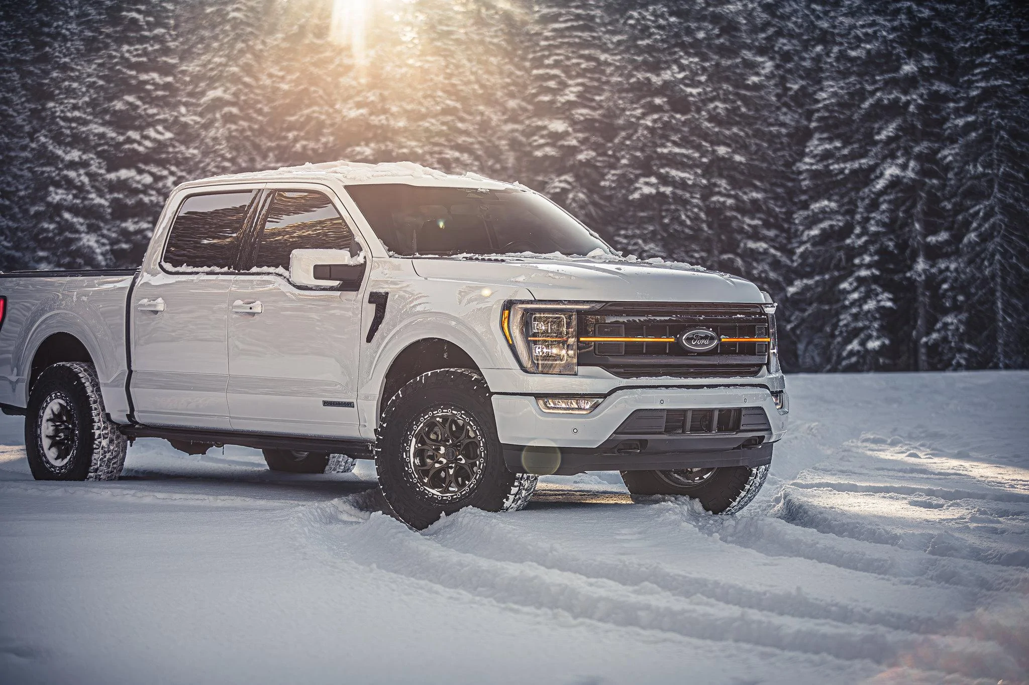 Ford F-150 BAP Black Appearance Package Trucks, POST HERE 53435012330_9e50c9a04b_k