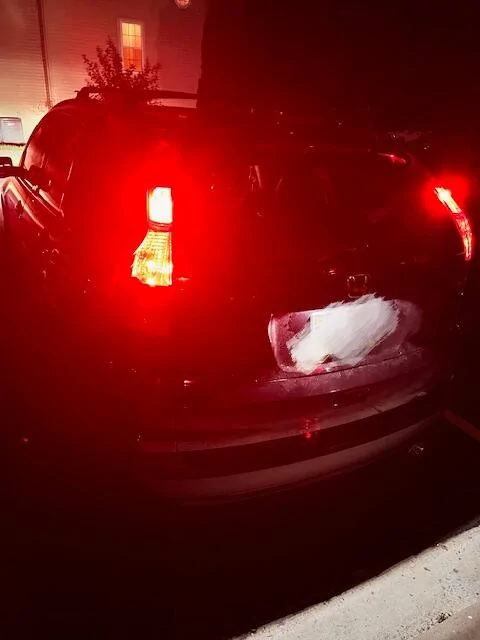 Ford F-150 Why Are the Upgraded Lights Dimmer? | Lasfit Reveals 54967?tmpCode=c37c83a0-c784-4e89-b7ea-dc2cf879d2c5