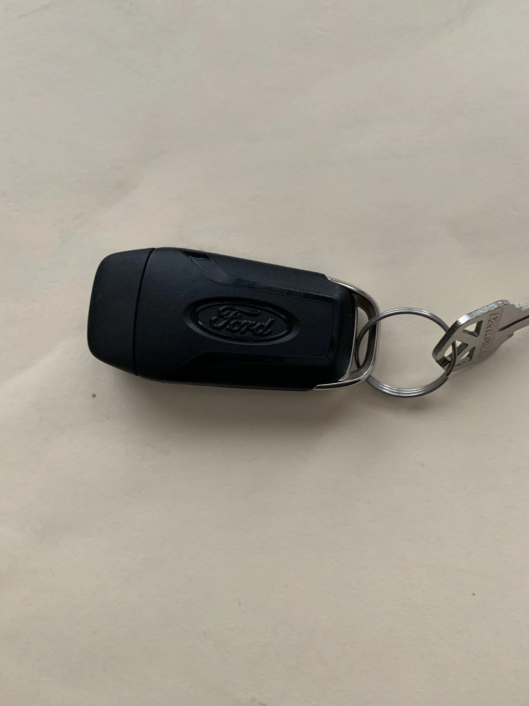Ford F-150 Fun easy project! Painted the Ford oval on my key. 58BC23E8-30CA-4C92-B1F7-2A1E868602C2