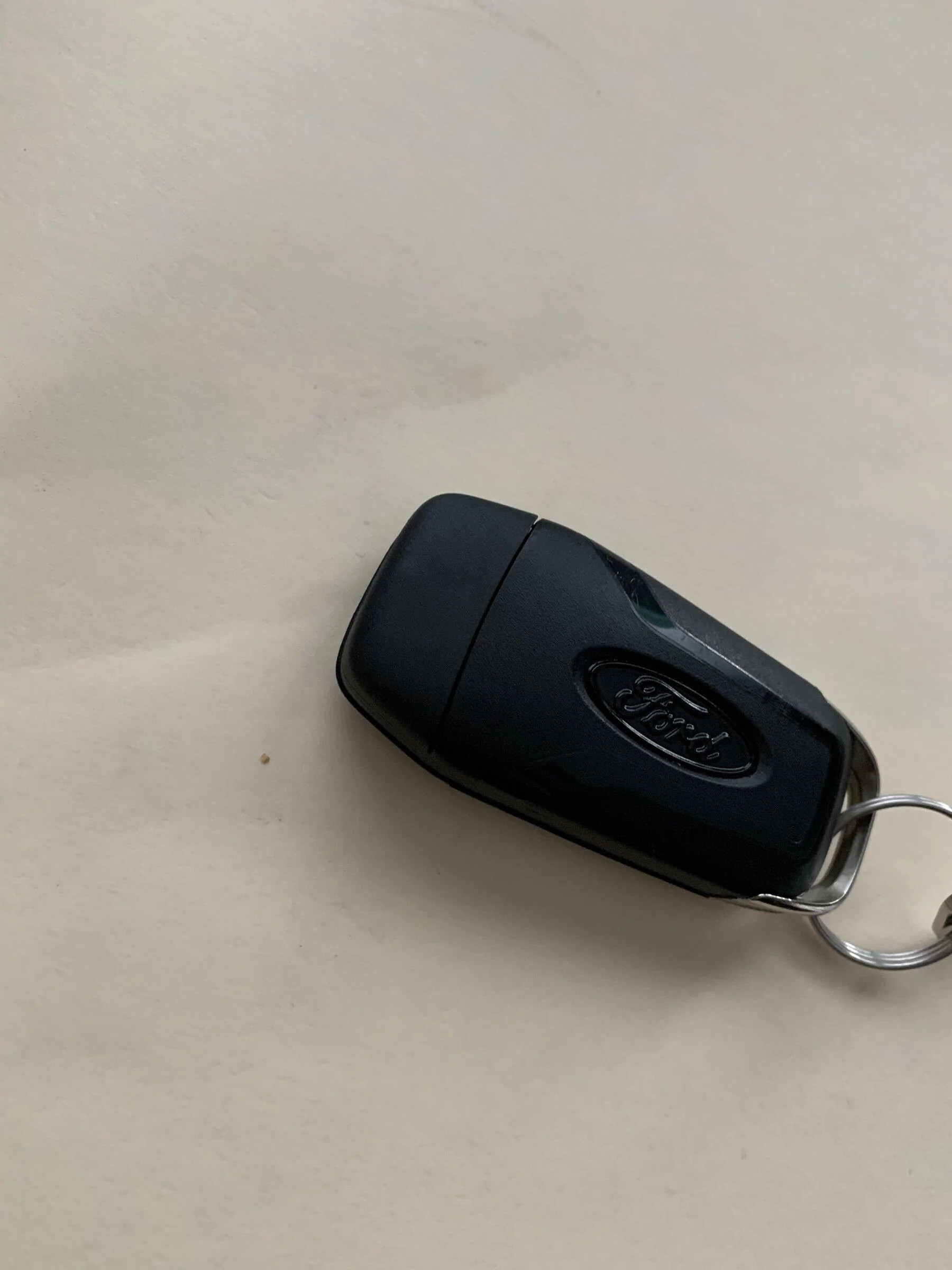 Ford F-150 Fun easy project! Painted the Ford oval on my key. 6D7AD3C5-07C1-4BB4-95C3-26BBC95BC269