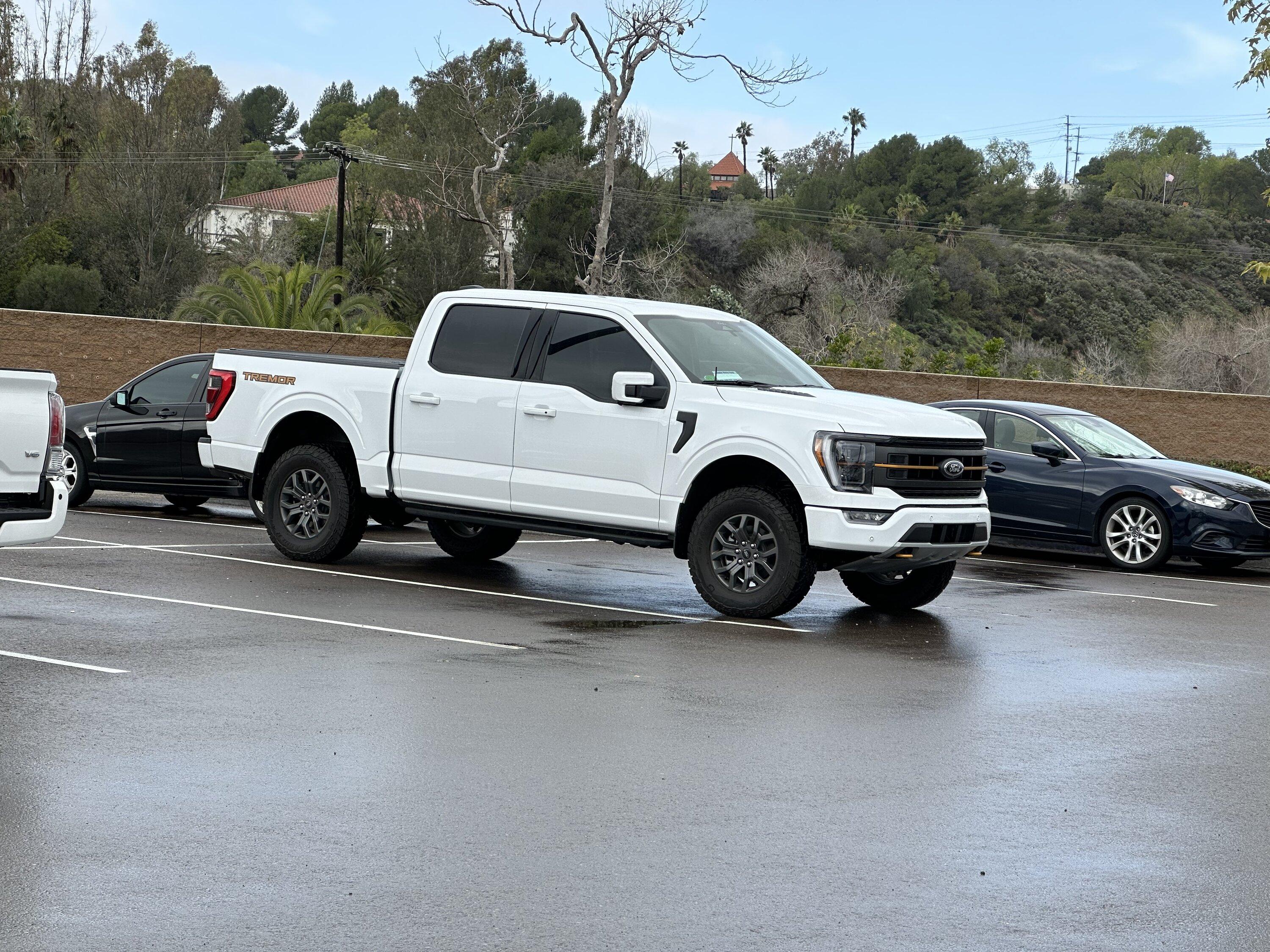 Ford F-150 Tremor Rake - We All See It 71128F66-33D1-4517-BA8D-8A66857D2894