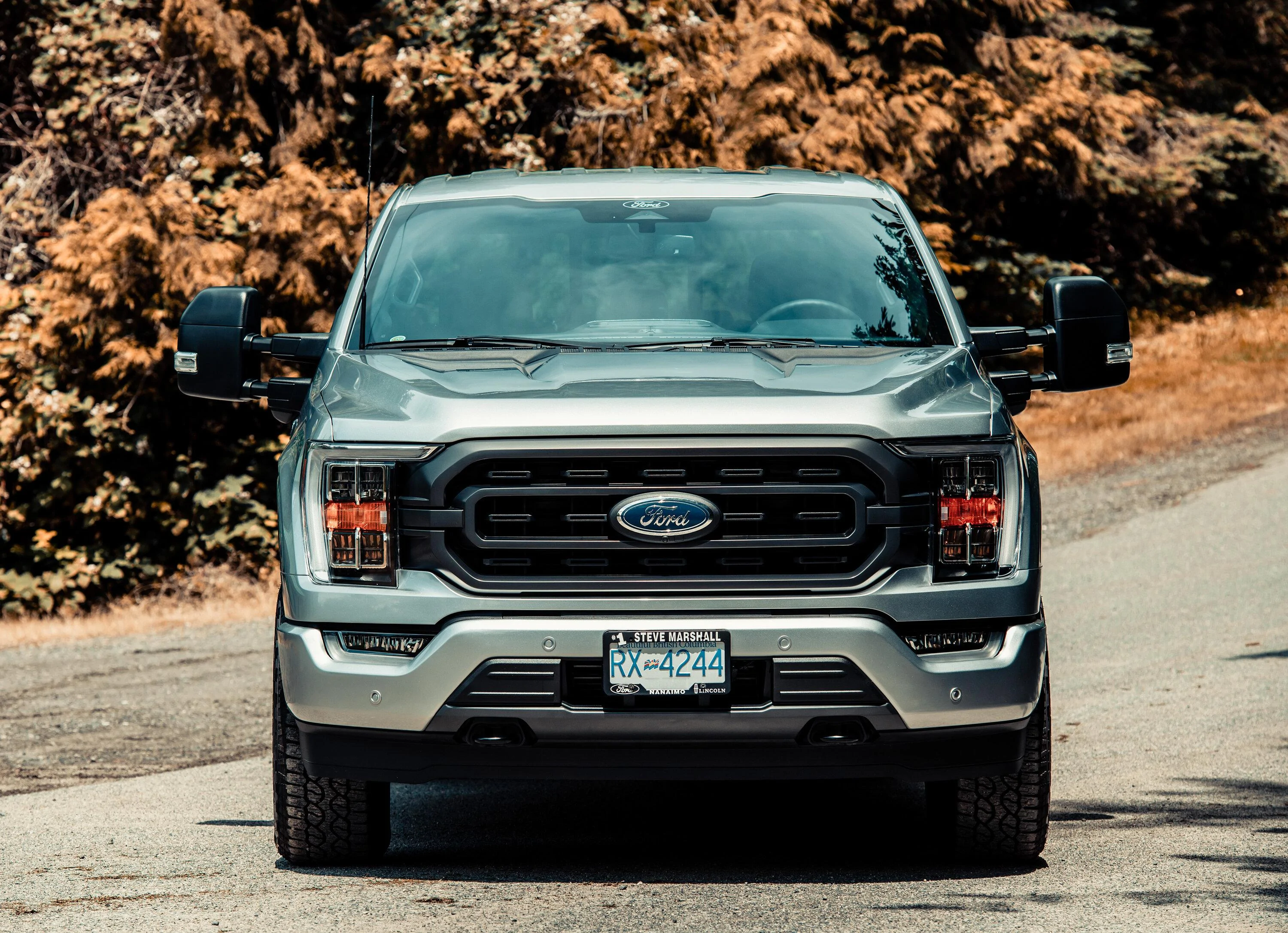 Ford F-150 ICONIC SILVER F-150 (2021+) Club 780_2631