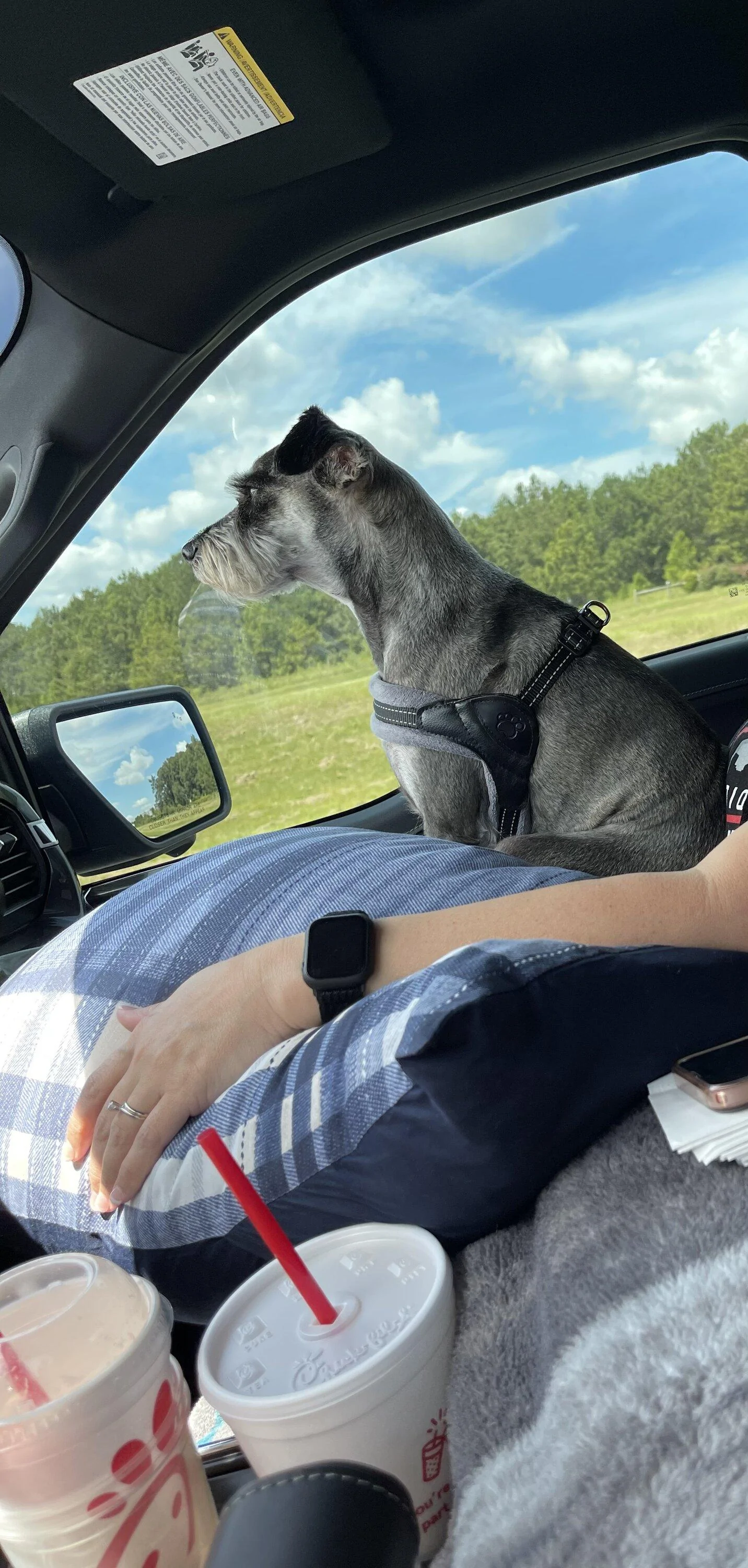 Ford F-150 4 Legged Photo Request - in Memoriam of Tank 8516A2D1-CB85-4EF6-BF68-ADA1AFDFF163