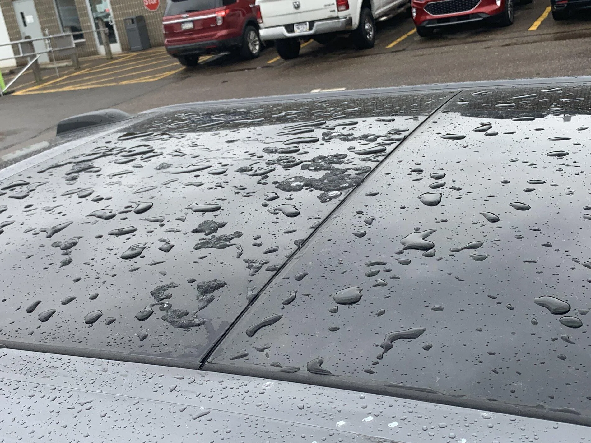 Ford F-150 Moon roof damage during transport 907BA9F3-8D0A-457D-B7C4-2CDCCB975936