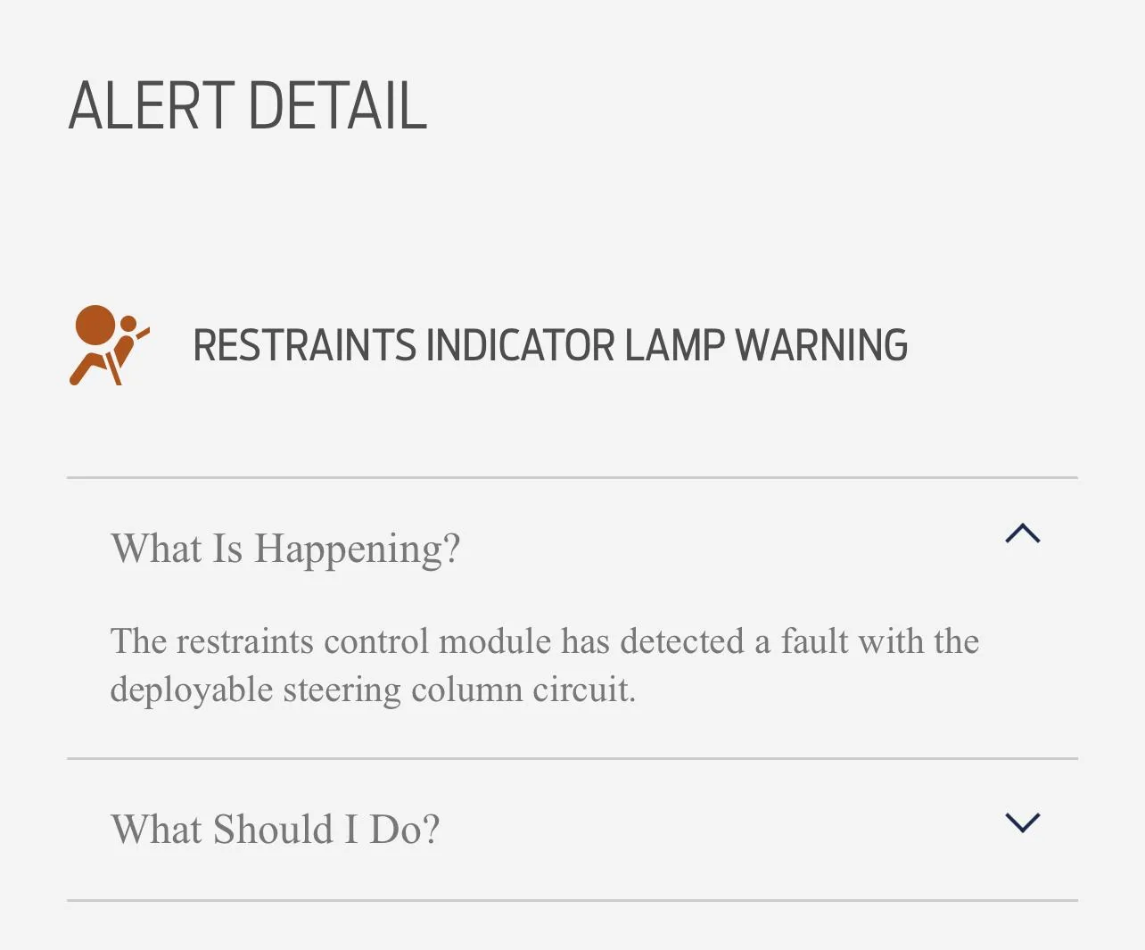 Ford F-150 Restraints Indicator Warning 91165886-5A37-433B-B4F6-200E75E930C3