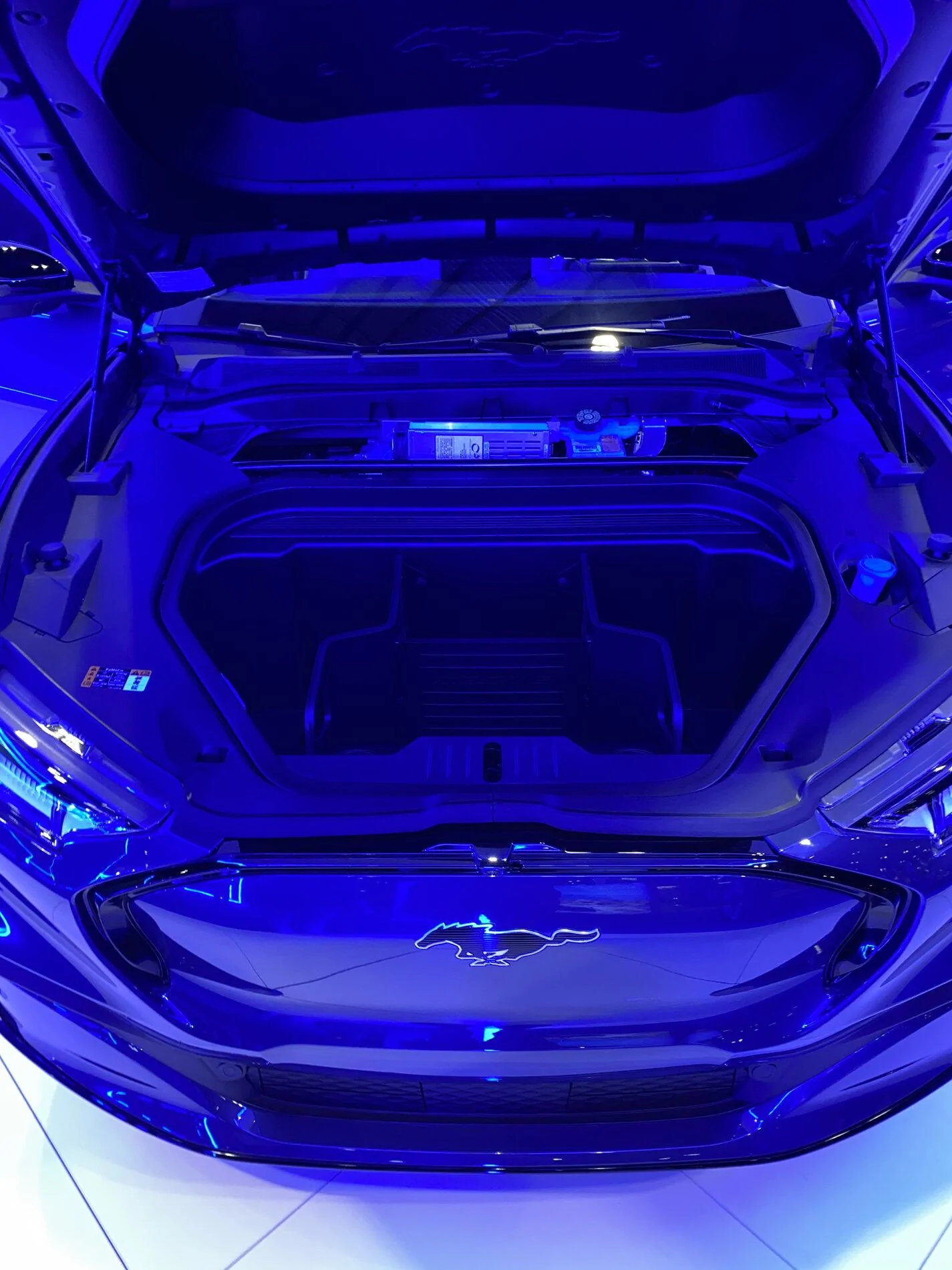 Ford F-150 Ford Mustang Mach-E Pics 9580B2F7-F6CD-452E-A3A8-3C9DA660F75F