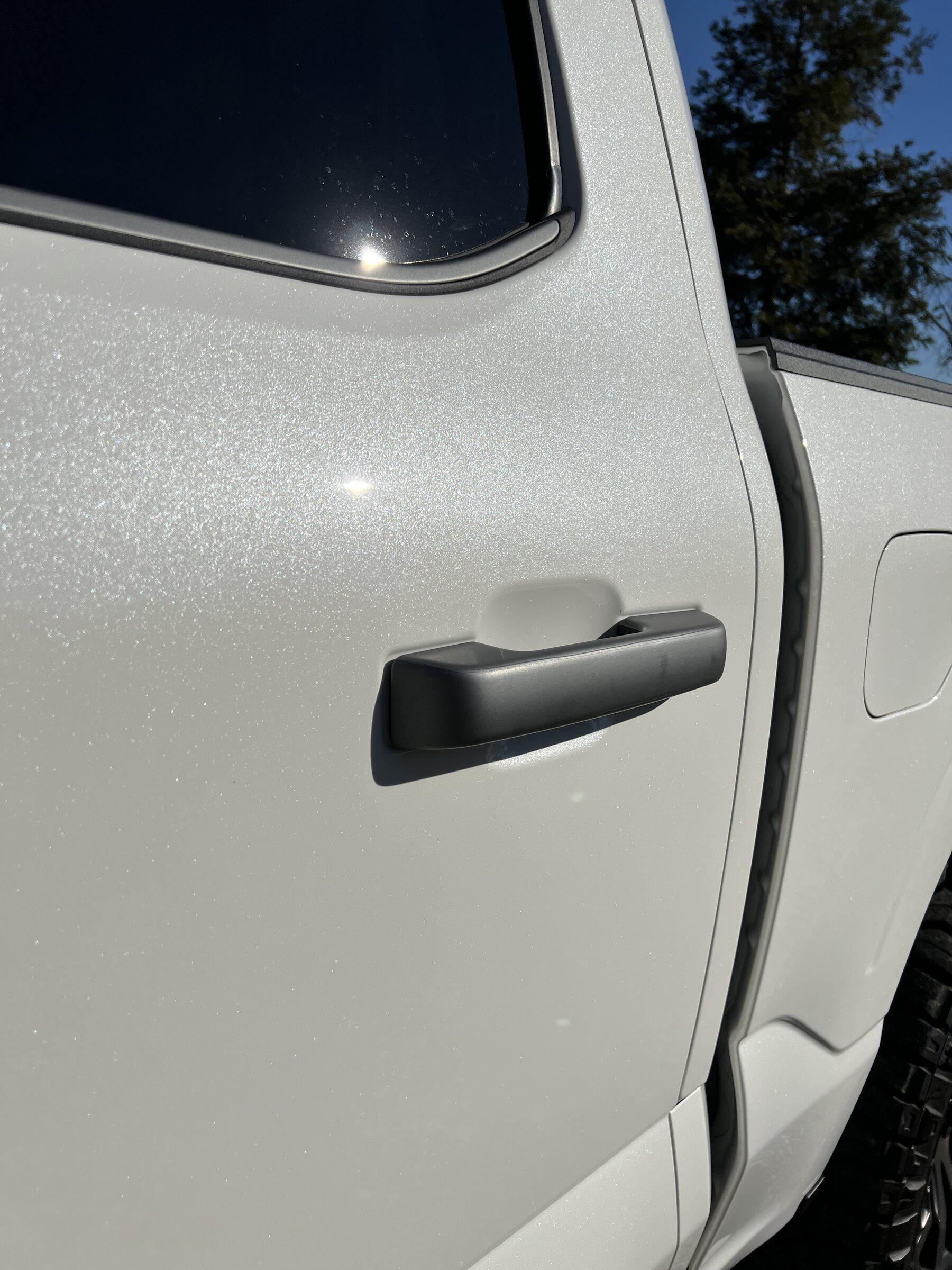 Ford F-150 2021 F150 Platinum Chrome Delete: Gun metal gray 97689BC4-345A-4C36-87DC-7B647ED6712B