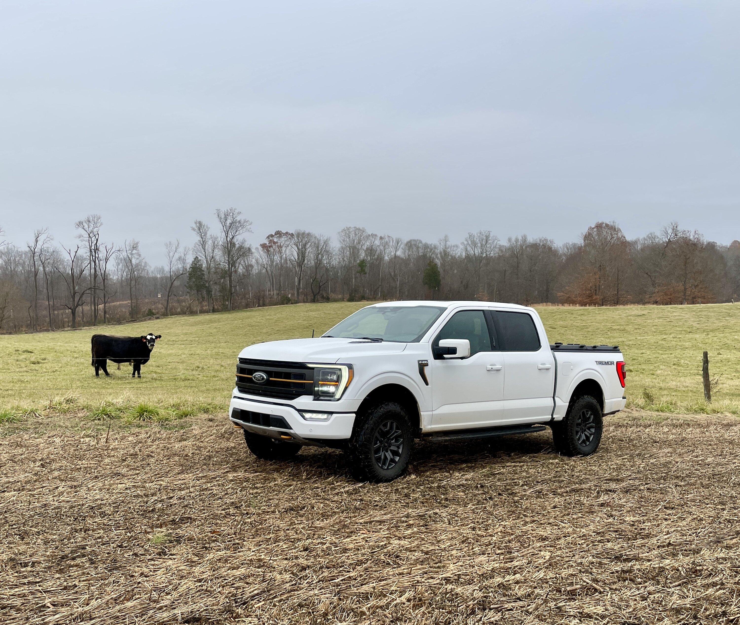 Ford F-150 Tremor with level and 35s - stop waiting, take the plunge. A5B1D135-5CDF-4524-8A69-1D54AE9958E5