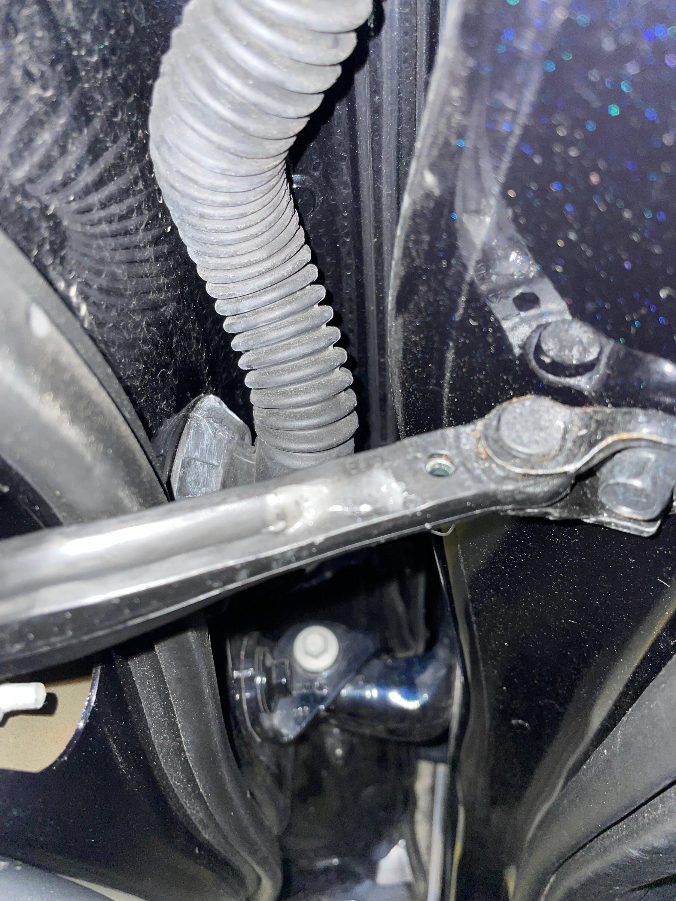 Ford F-150 Water on door check strap A7B60F11-D482-42A2-95AB-E27C7DBEE7AD