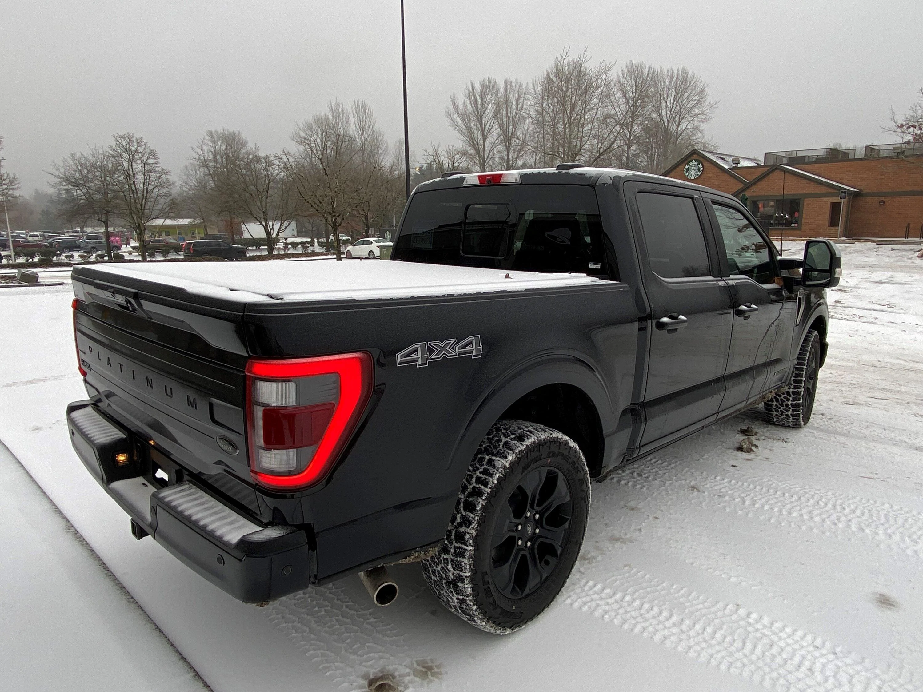 Ford F-150 Black Appearance Package, Black Platinum F-150 Back Right
