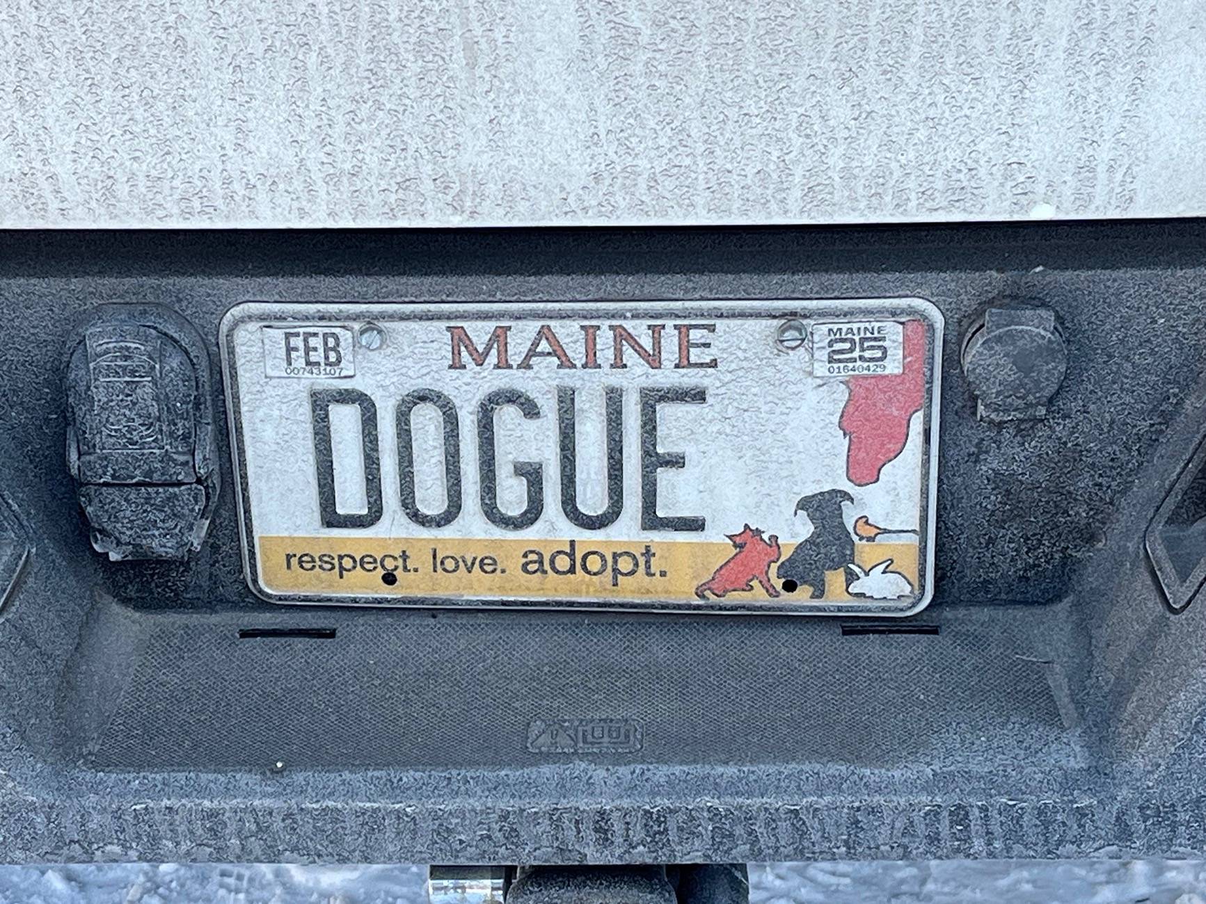 Ford F-150 (RESOLVED & TNX) Help Identify Socket bumper