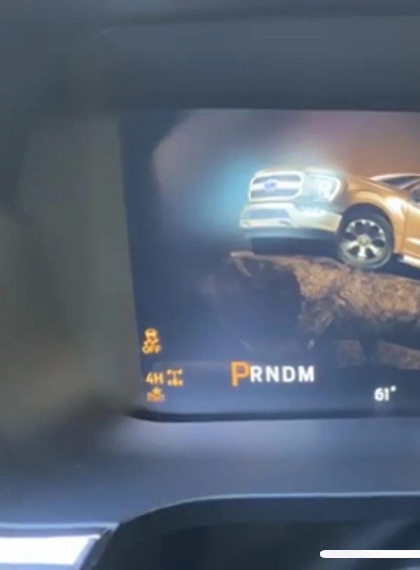 Ford F-150 2021 F-150 Drive Mode Animations C0A33463-1955-40E1-A19C-F7B1BEC8E617