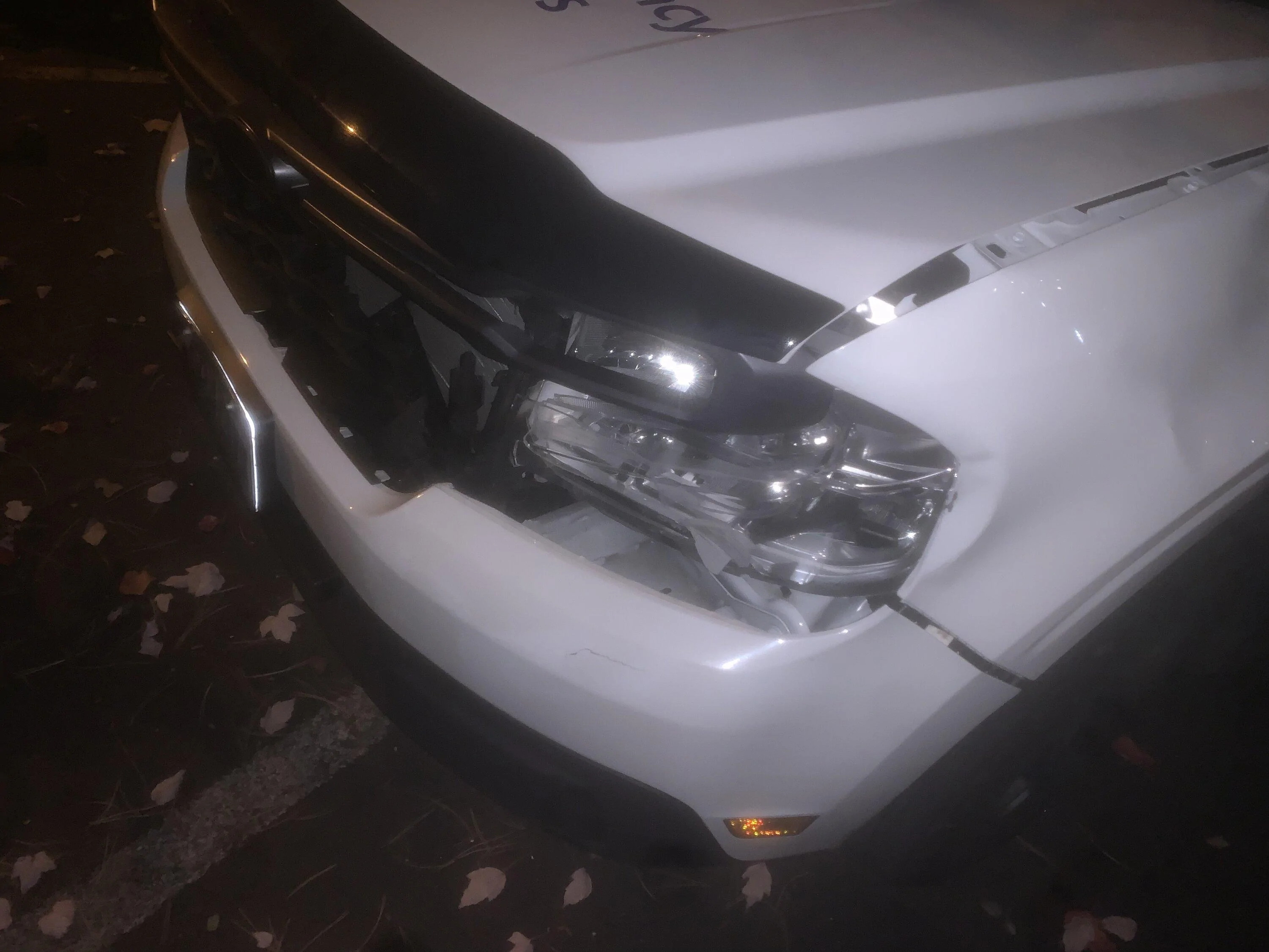 Ford F-150 How Would You Feel if Ford Pulled a Dodge and Produced Last Model Along Current Mod? CE8FFAE1-DC7D-4AC3-908A-C470ADDA9199