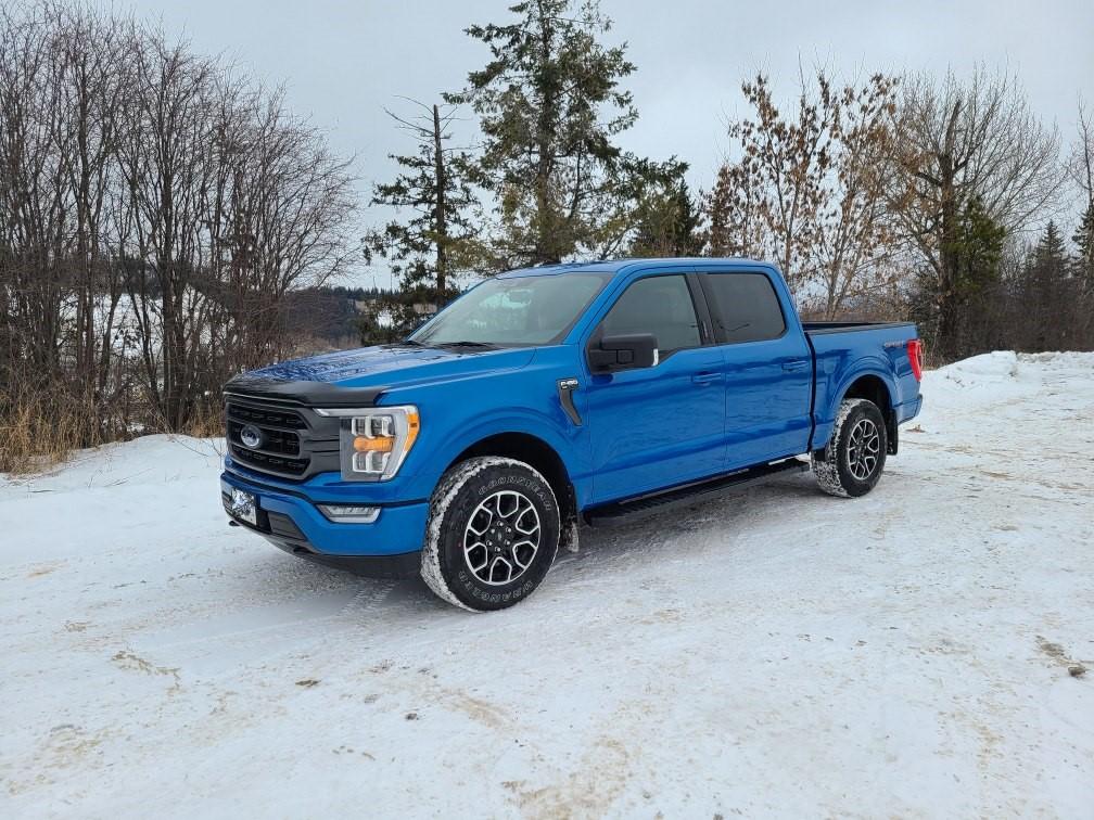 Ford F-150 Post more pictures owners!!! clean